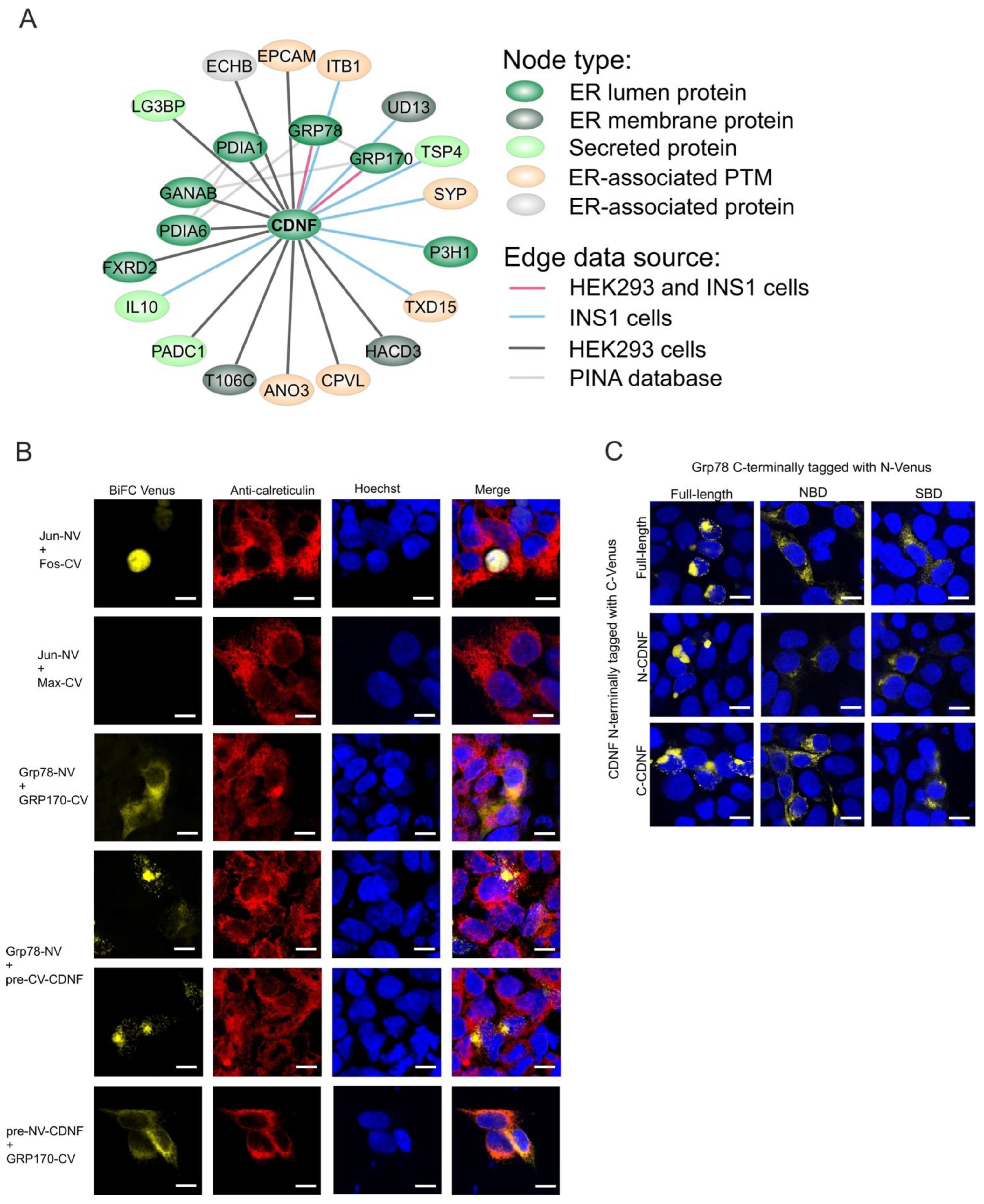 Ijms 23 09489 g006 Ijms 23 09489 g006