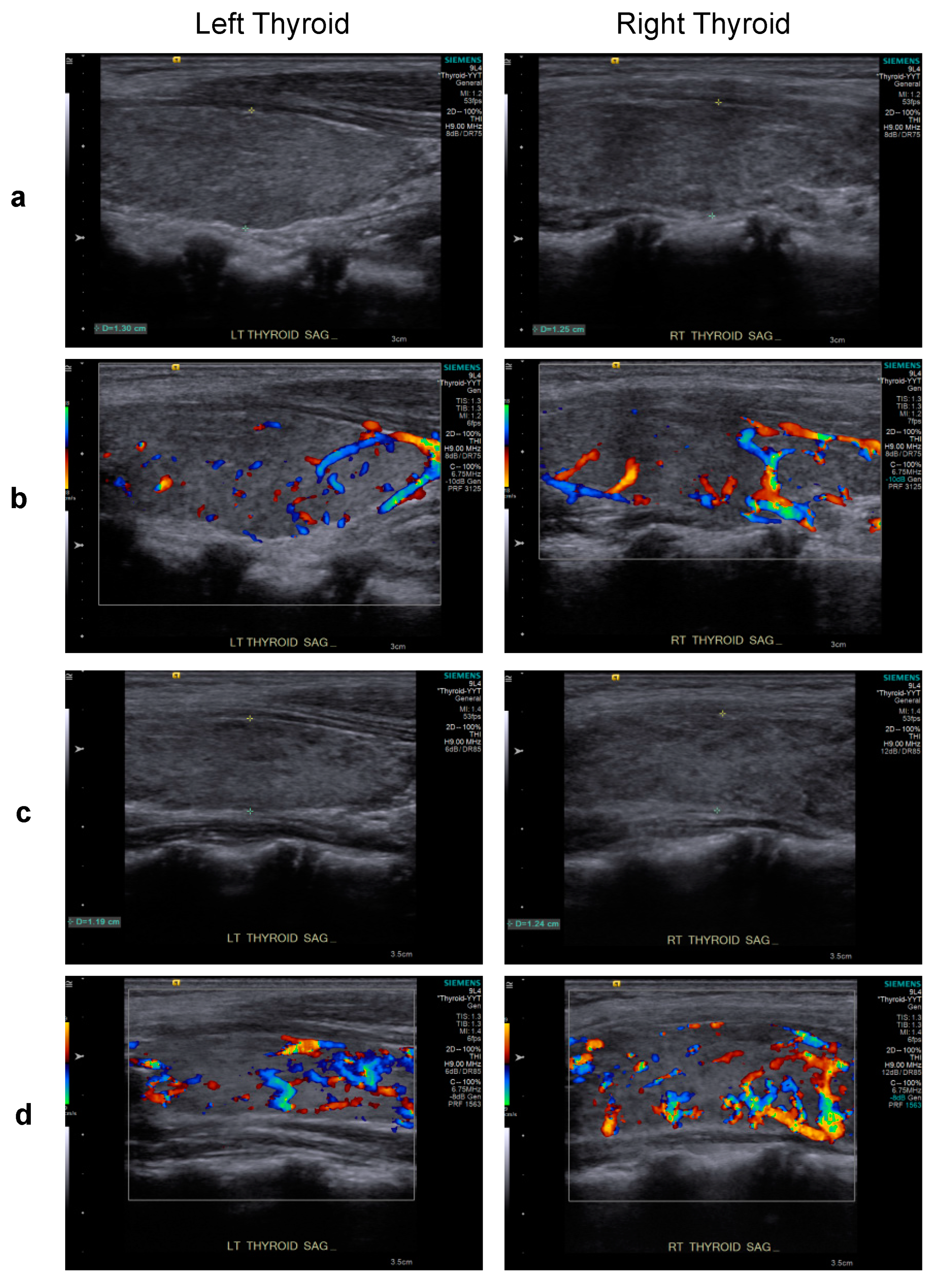 Ijms 23 09494 g003 Ijms 23 09494 g003