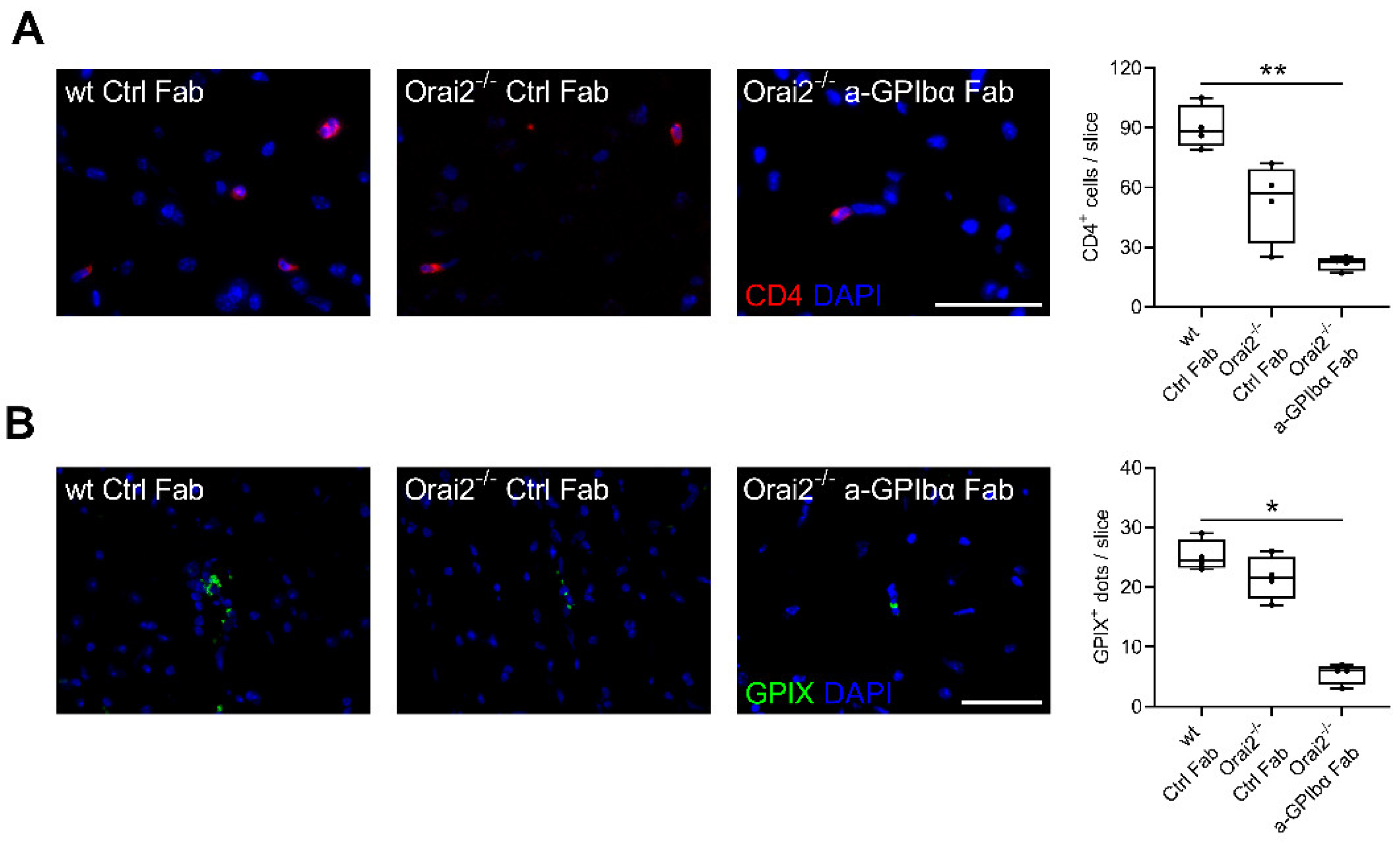 Ijms 23 09496 g002 550