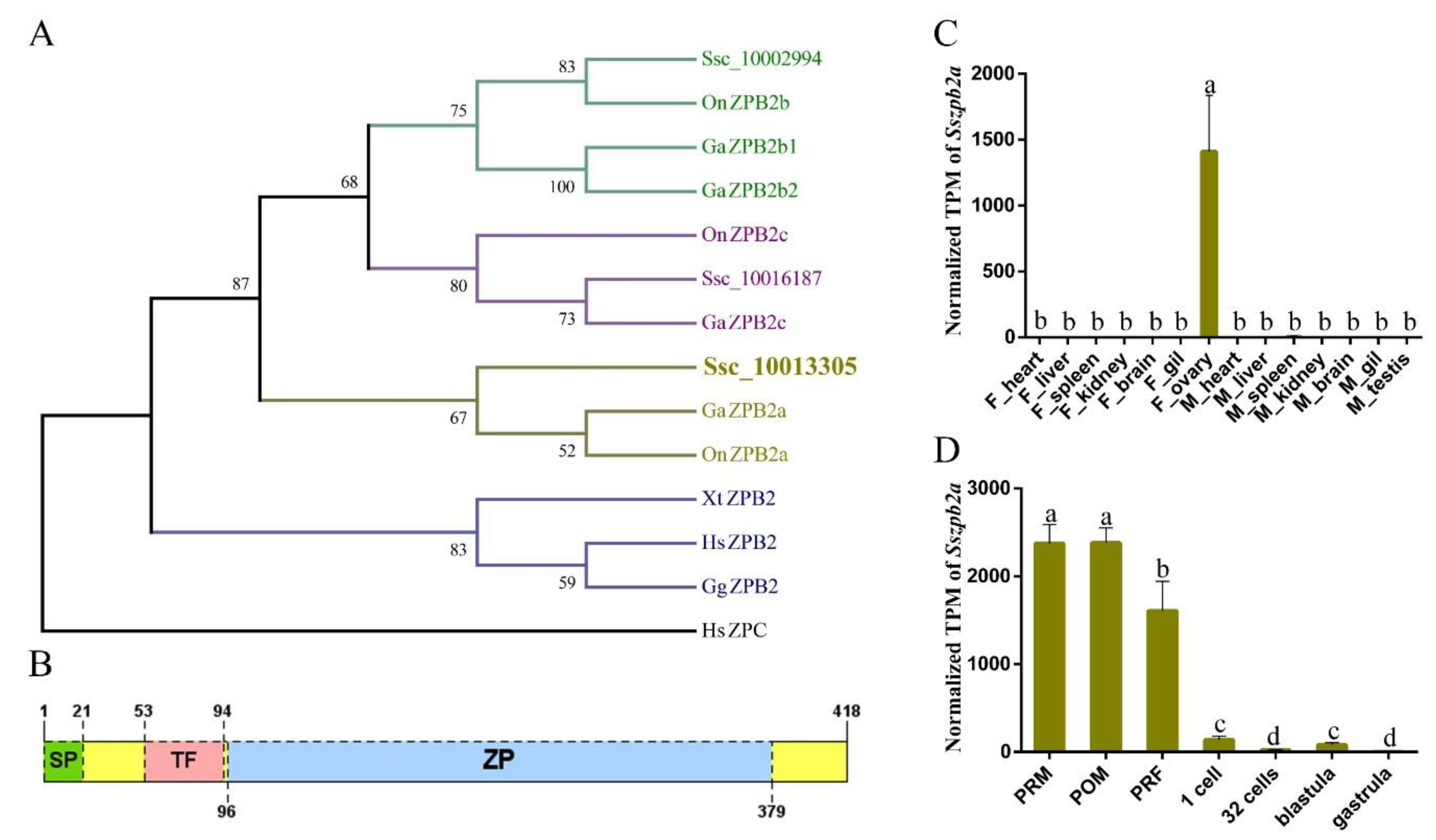 Ijms 23 09498 g001 Ijms 23 09498 g001