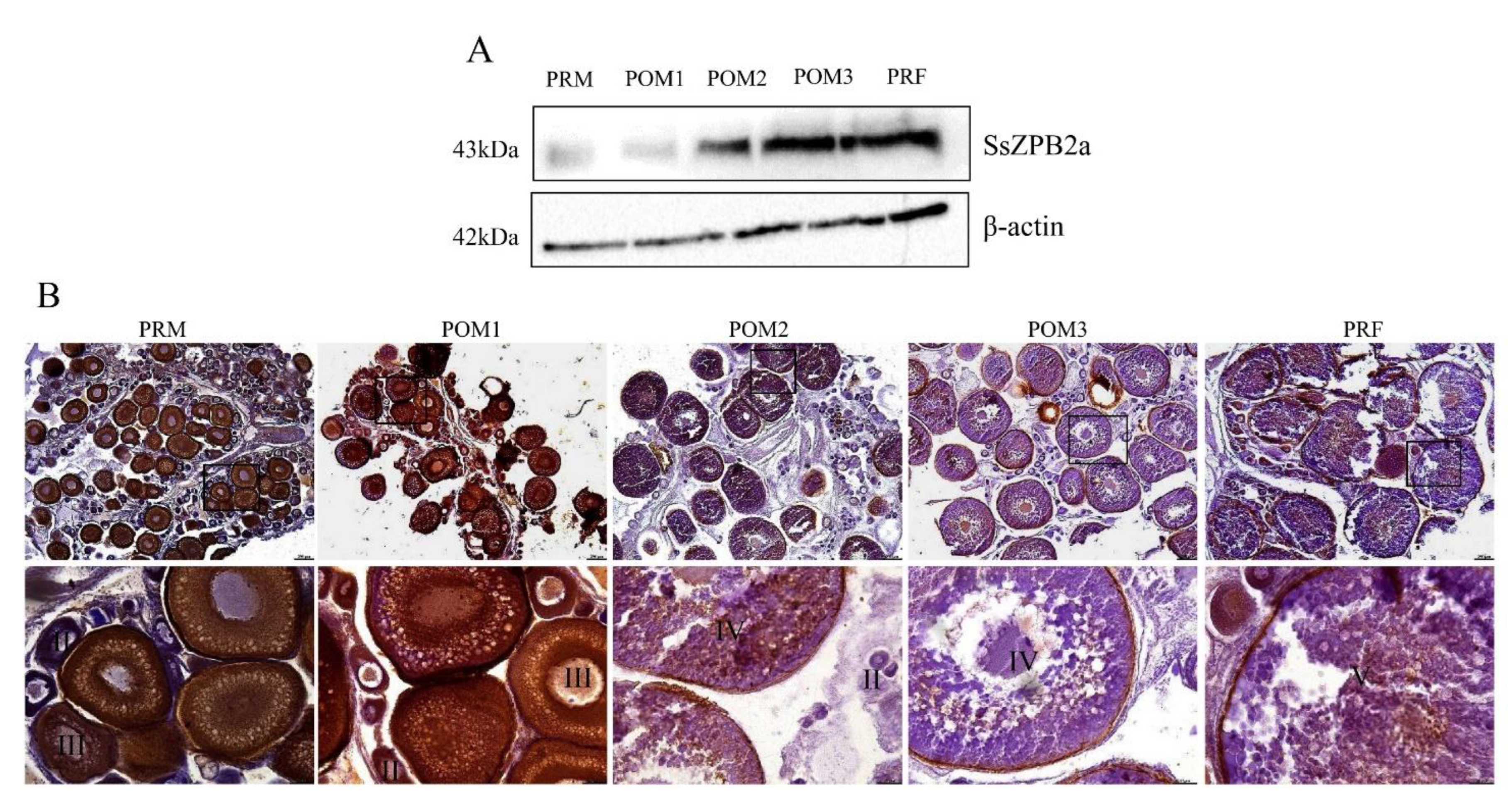 Ijms 23 09498 g003 Ijms 23 09498 g003