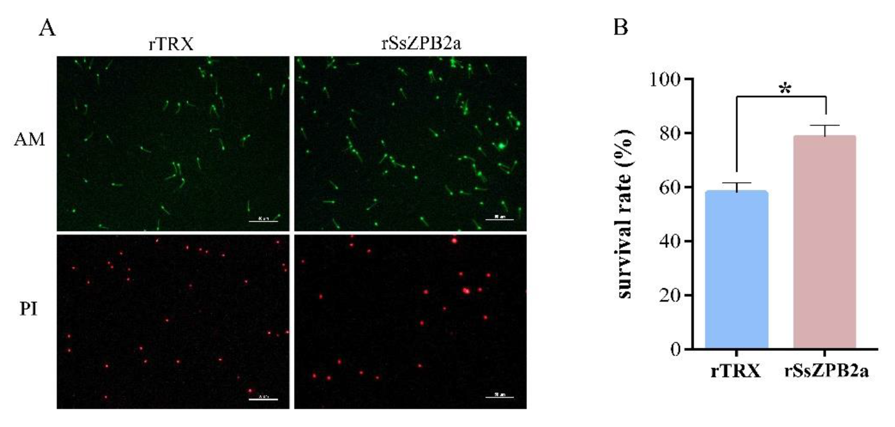 Ijms 23 09498 g006 Ijms 23 09498 g006