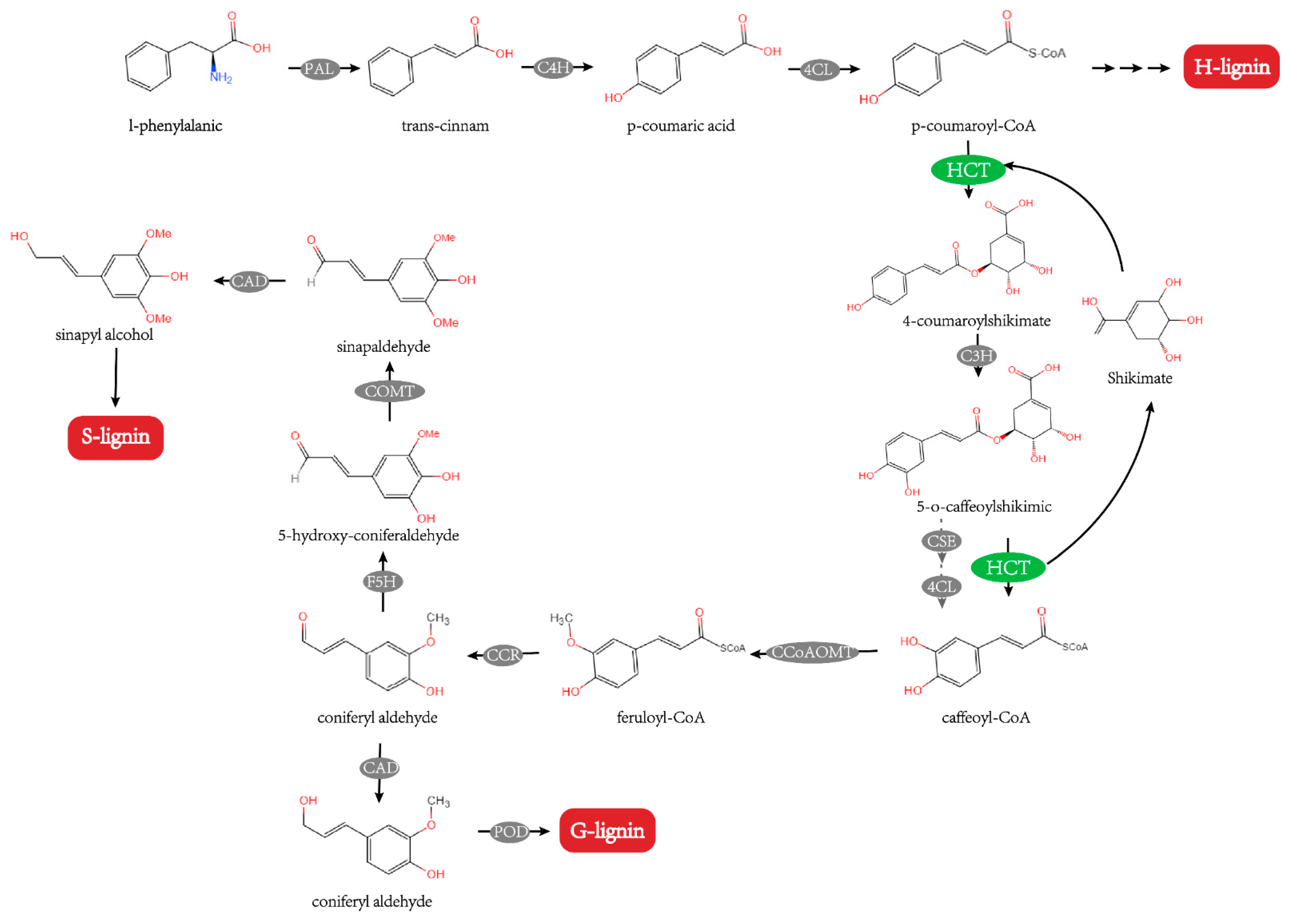 Ijms 23 09500 g001 550