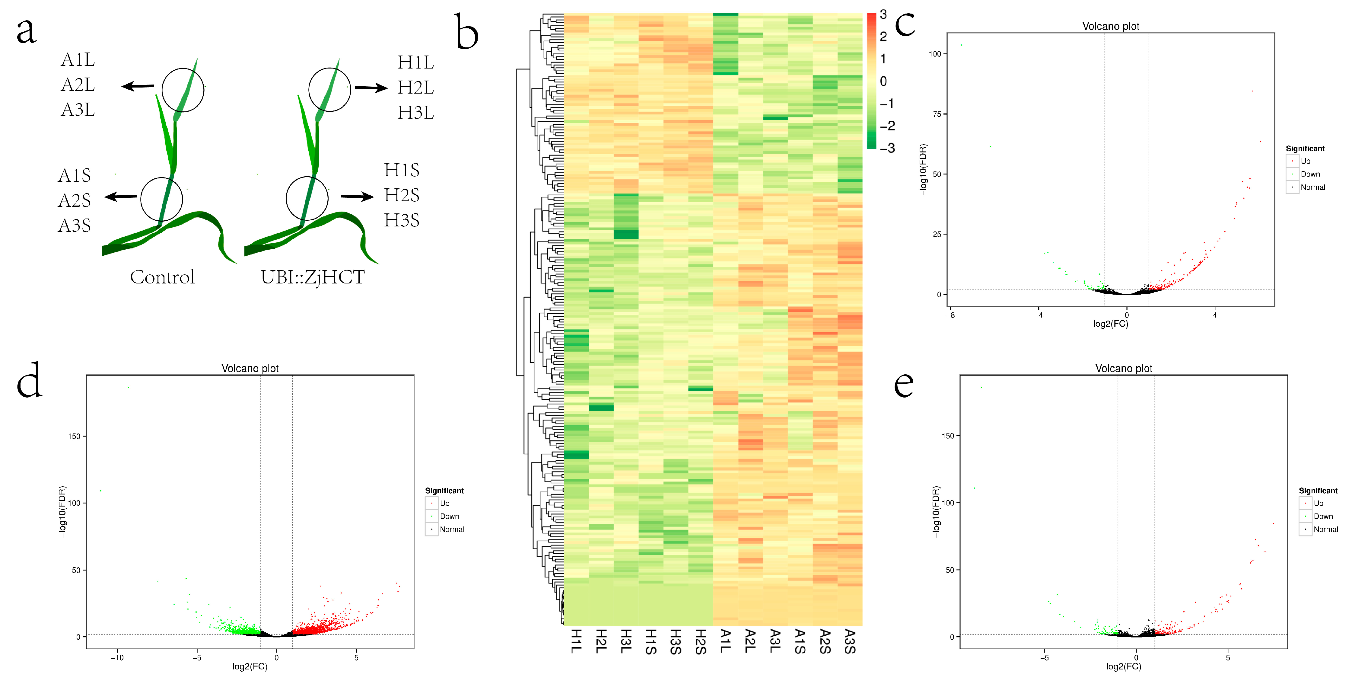 Ijms 23 09500 g010 550