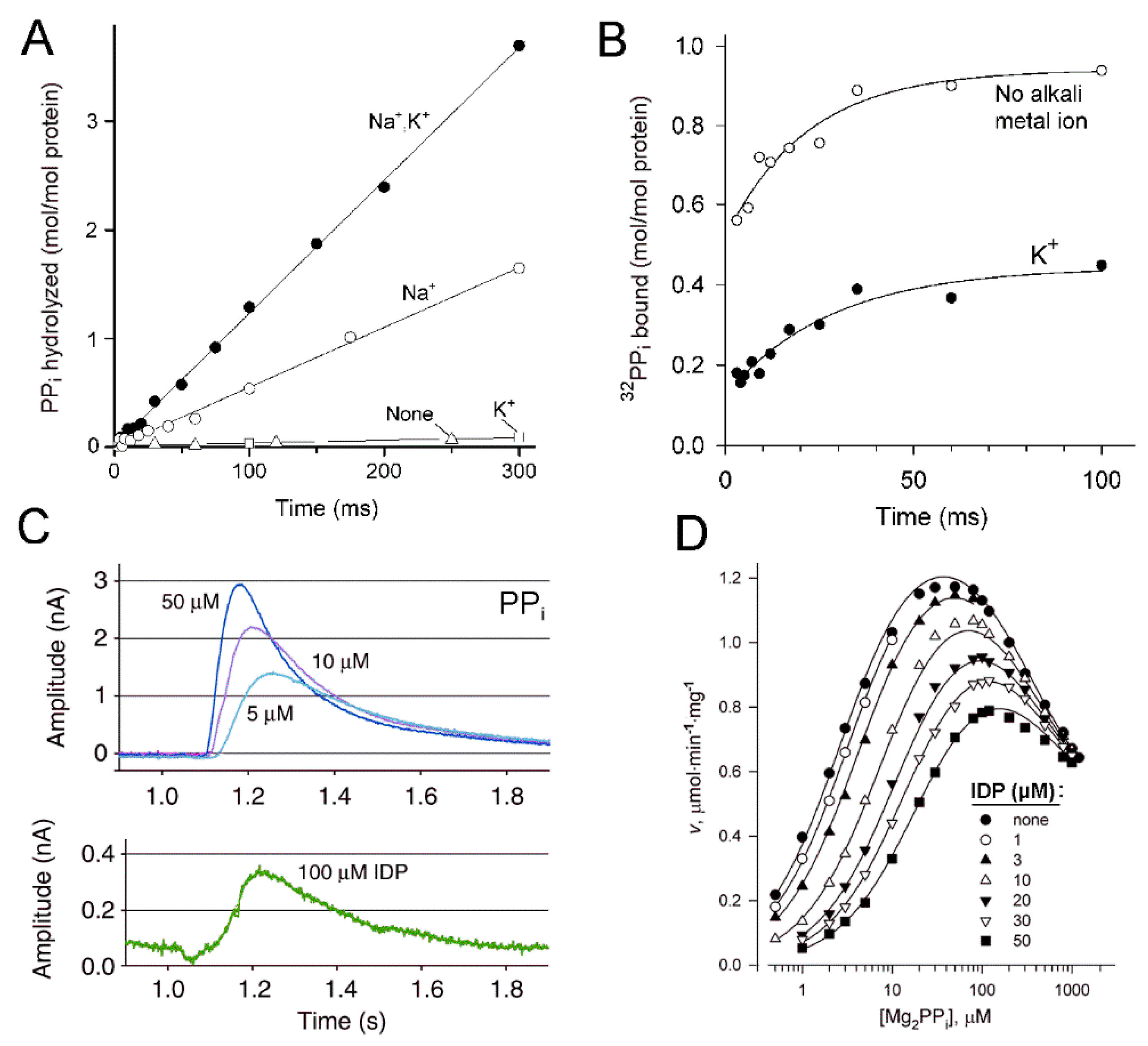 Ijms 23 09504 g002 Ijms 23 09504 g002