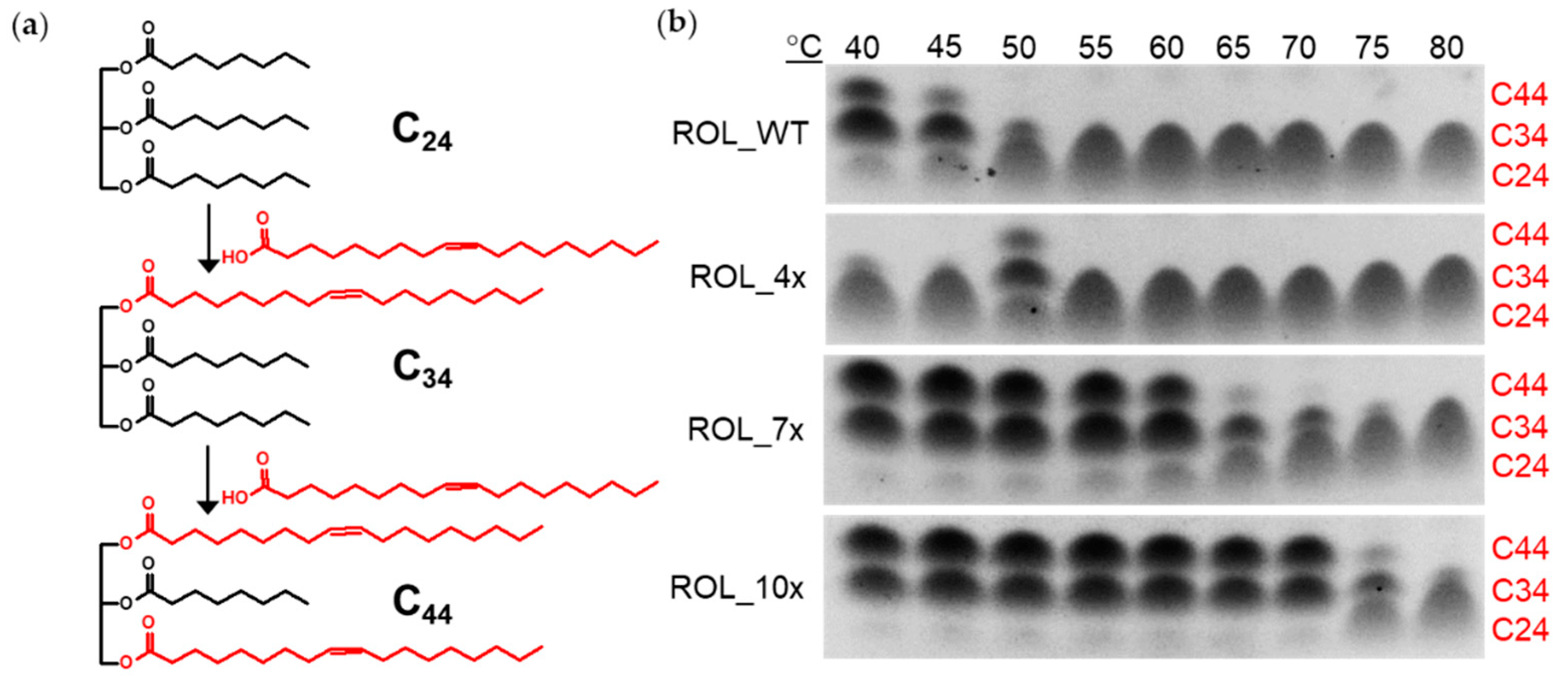 Ijms 23 09515 g005 550
