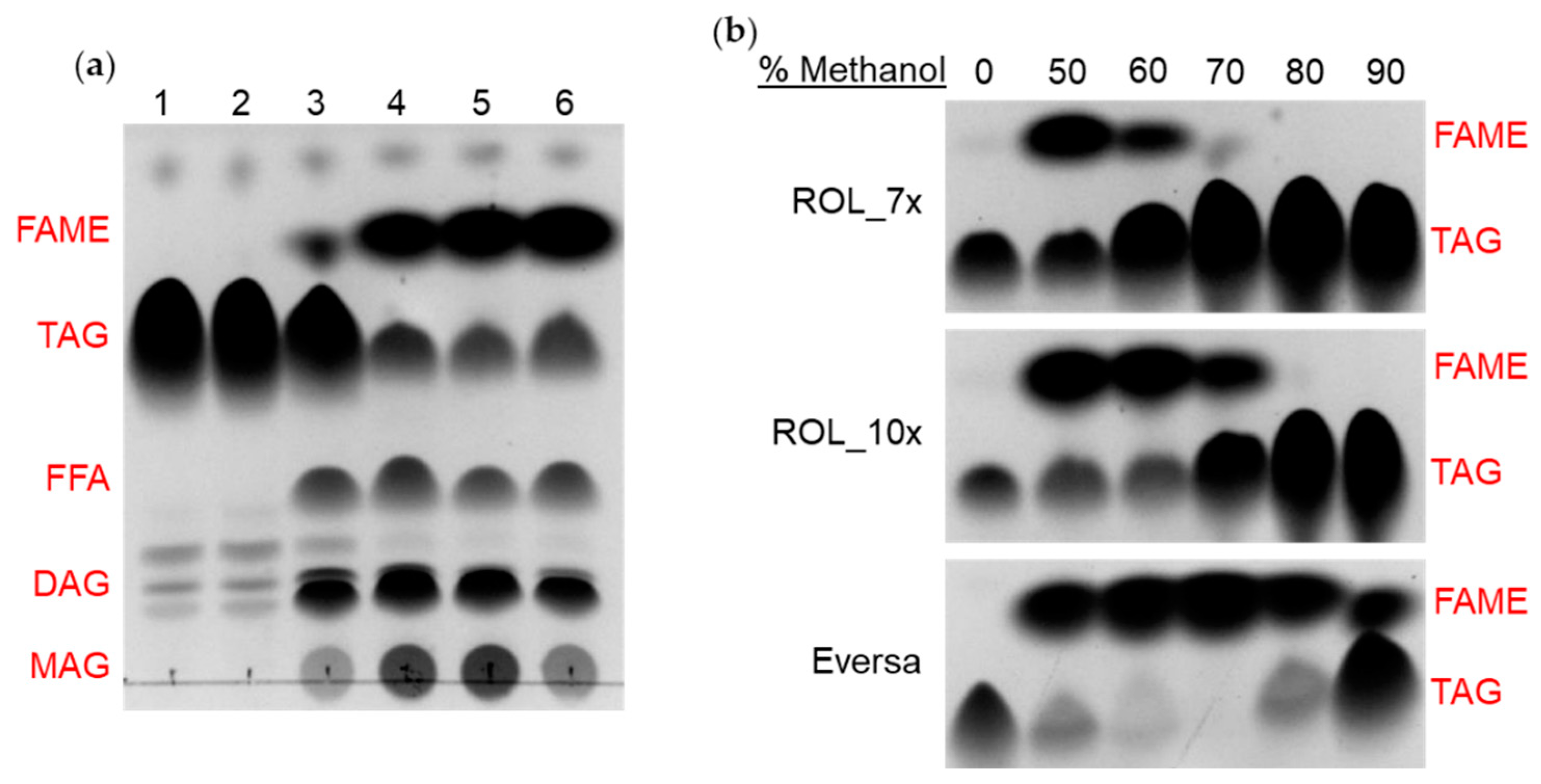 Ijms 23 09515 g007 550