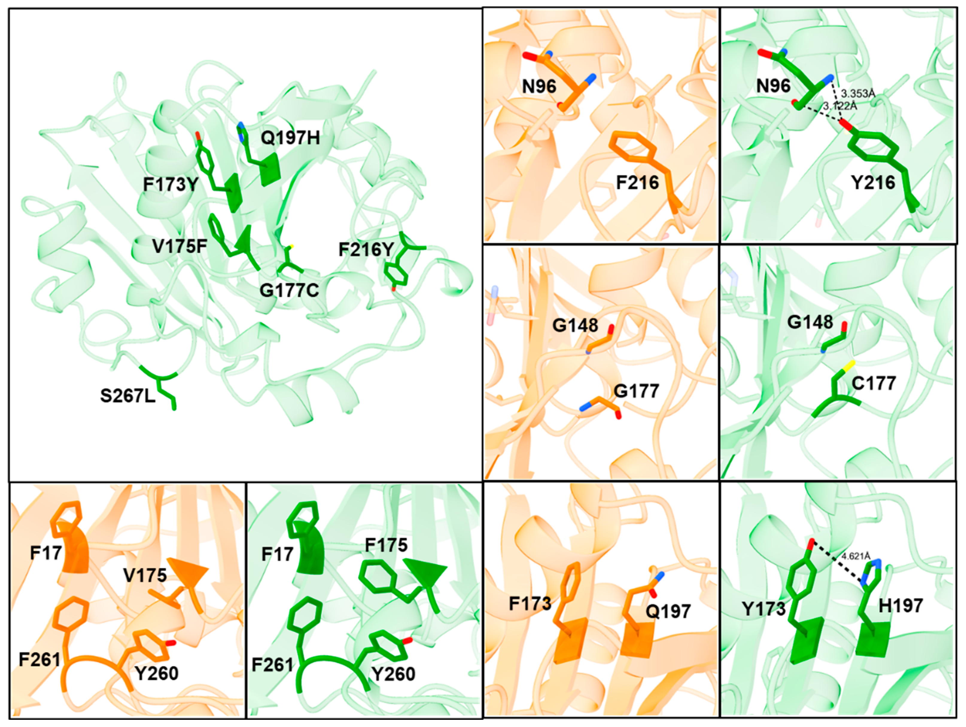 Ijms 23 09515 g008 550