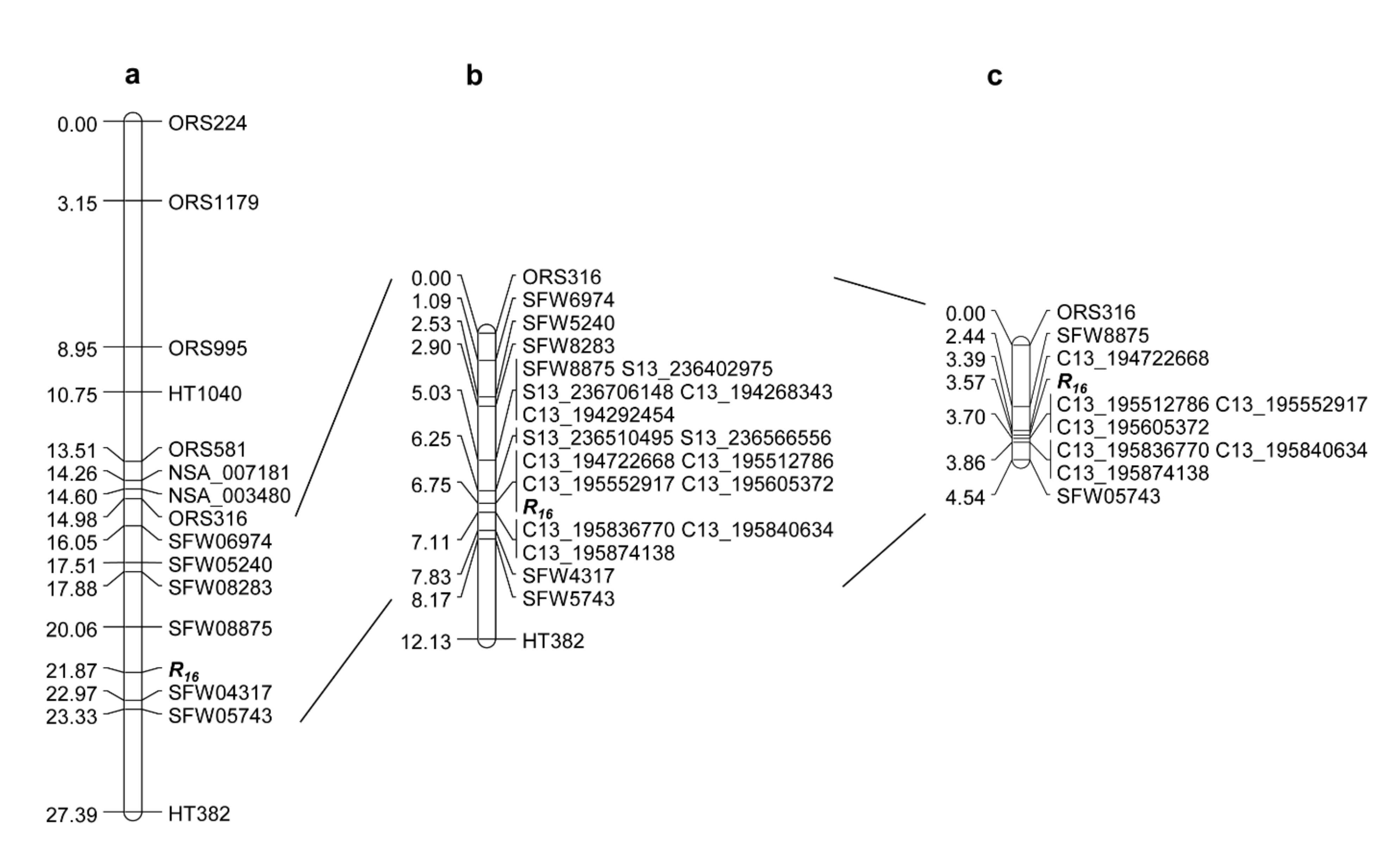 Ijms 23 09516 g002 550