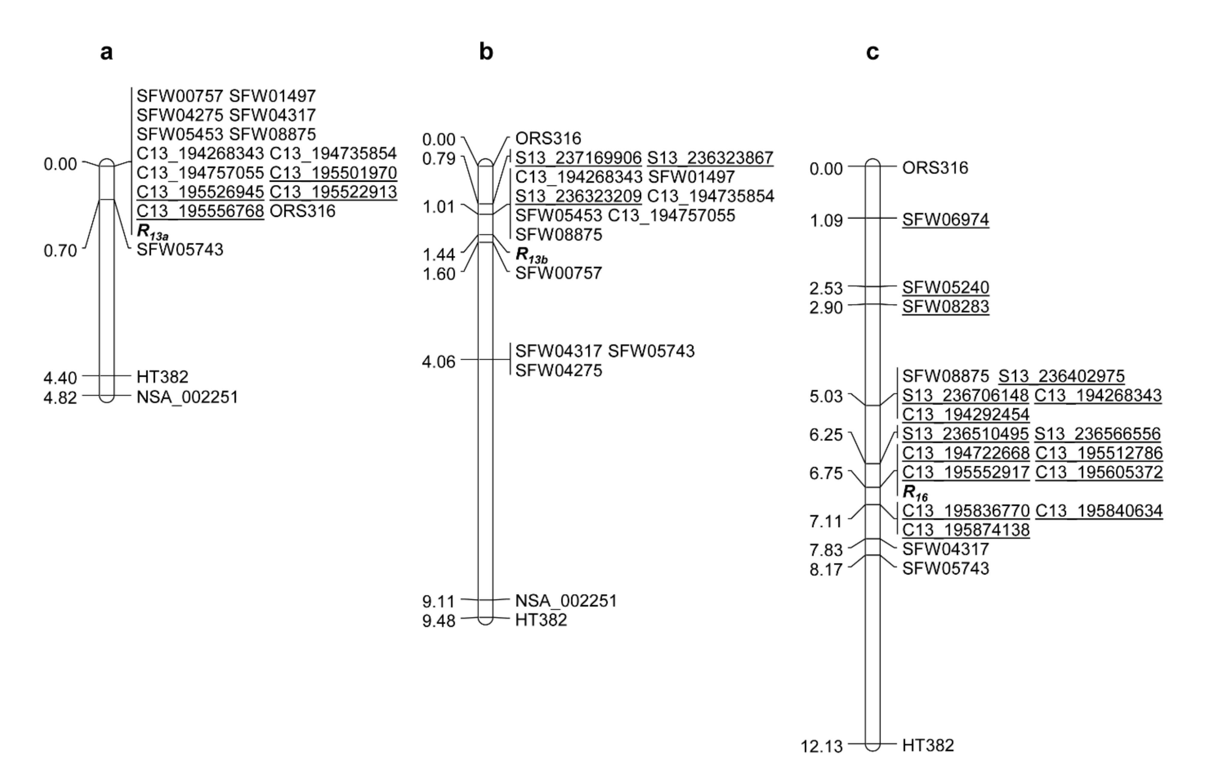 Ijms 23 09516 g004 550