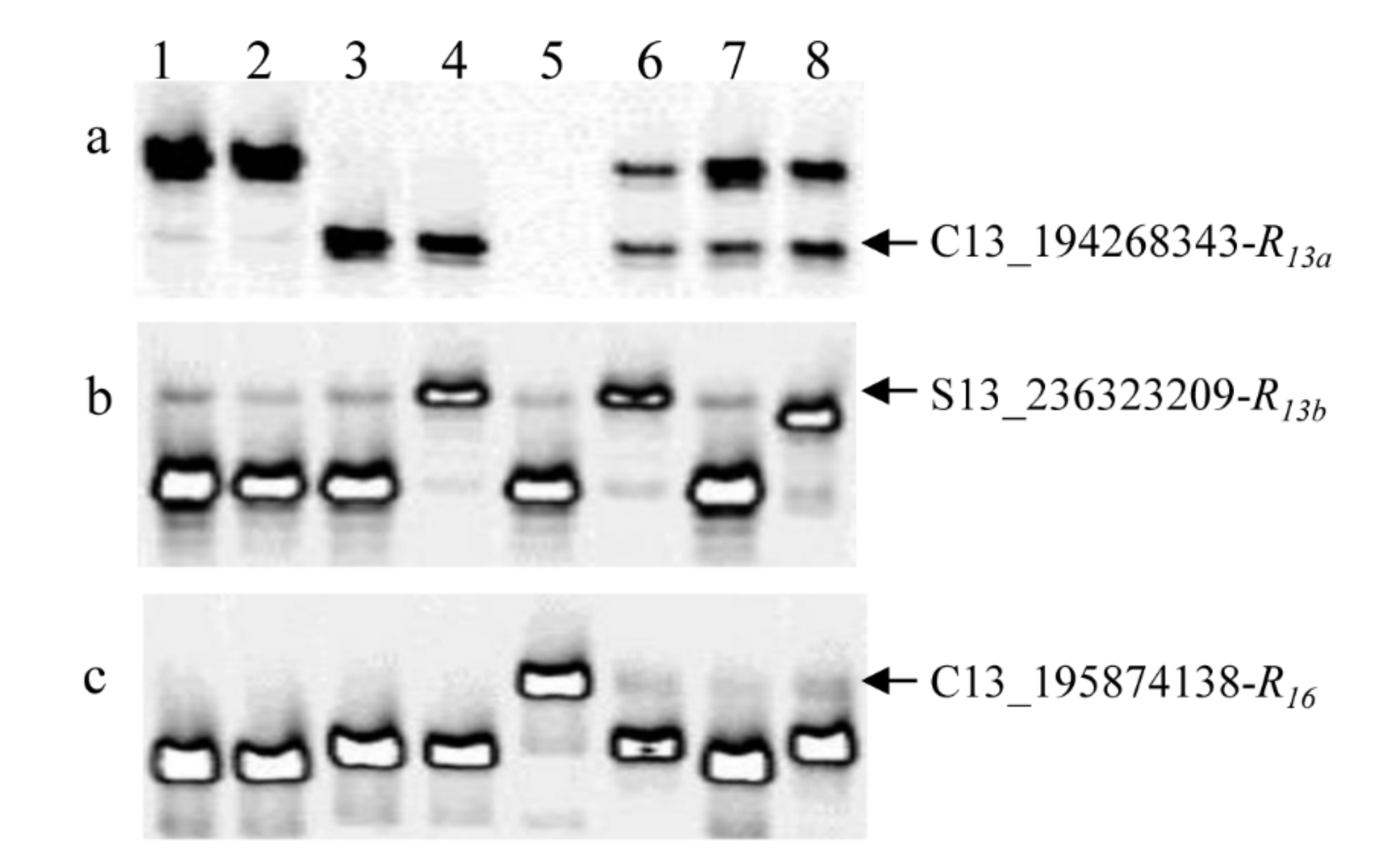 Ijms 23 09516 g005 550