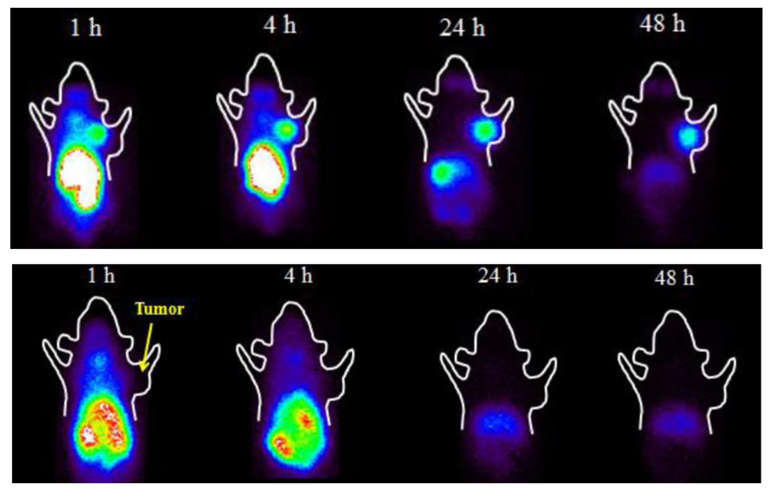 Ijms 23 09520 g004 550