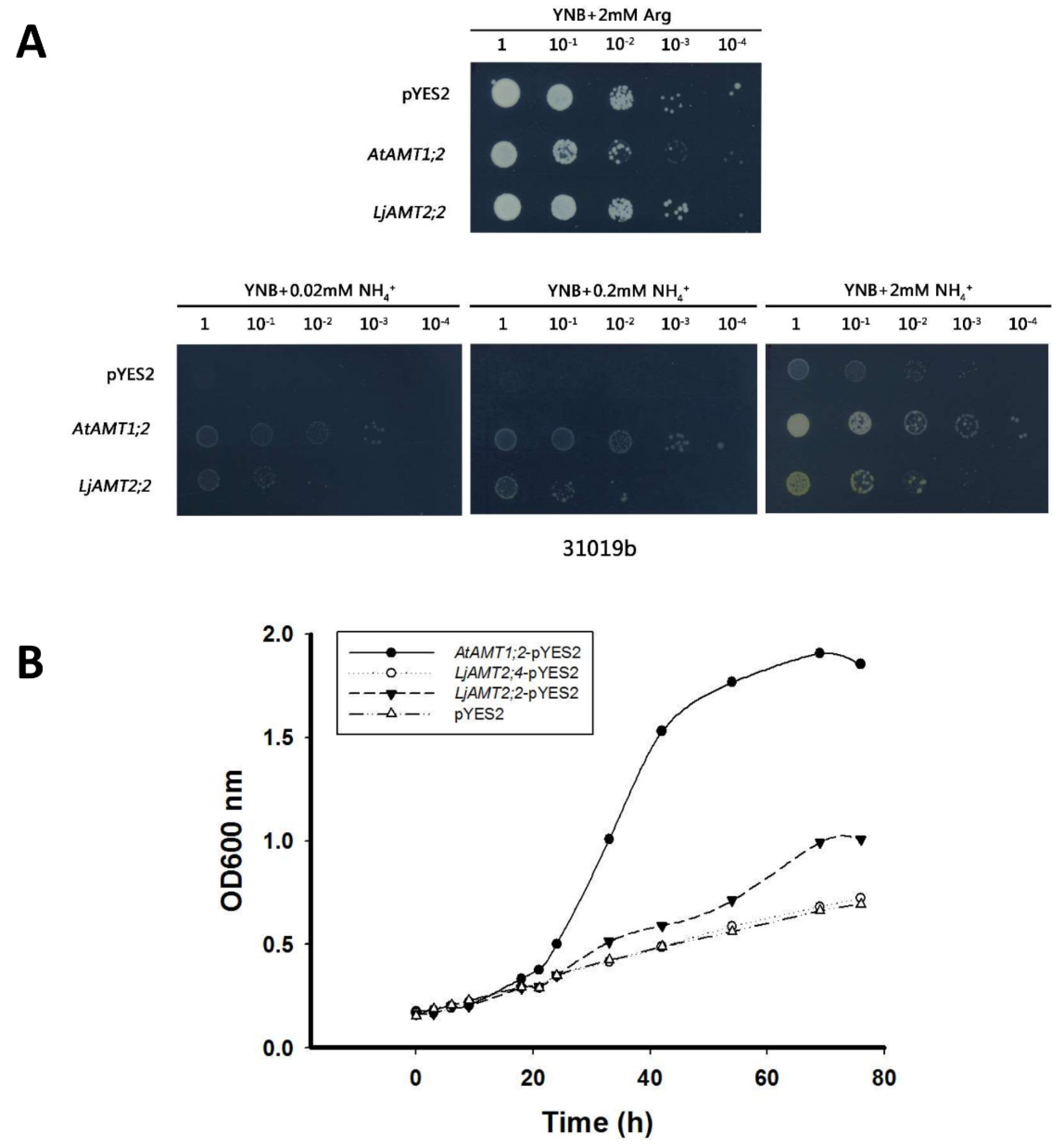 Ijms 23 09522 g003 Ijms 23 09522 g003