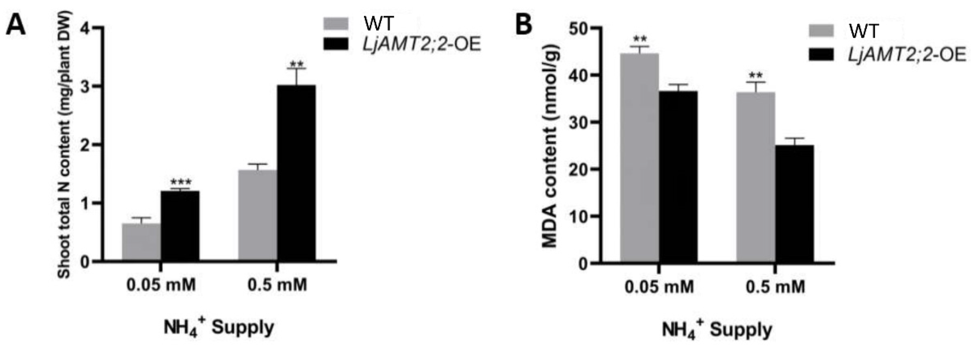 Ijms 23 09522 g007 Ijms 23 09522 g007
