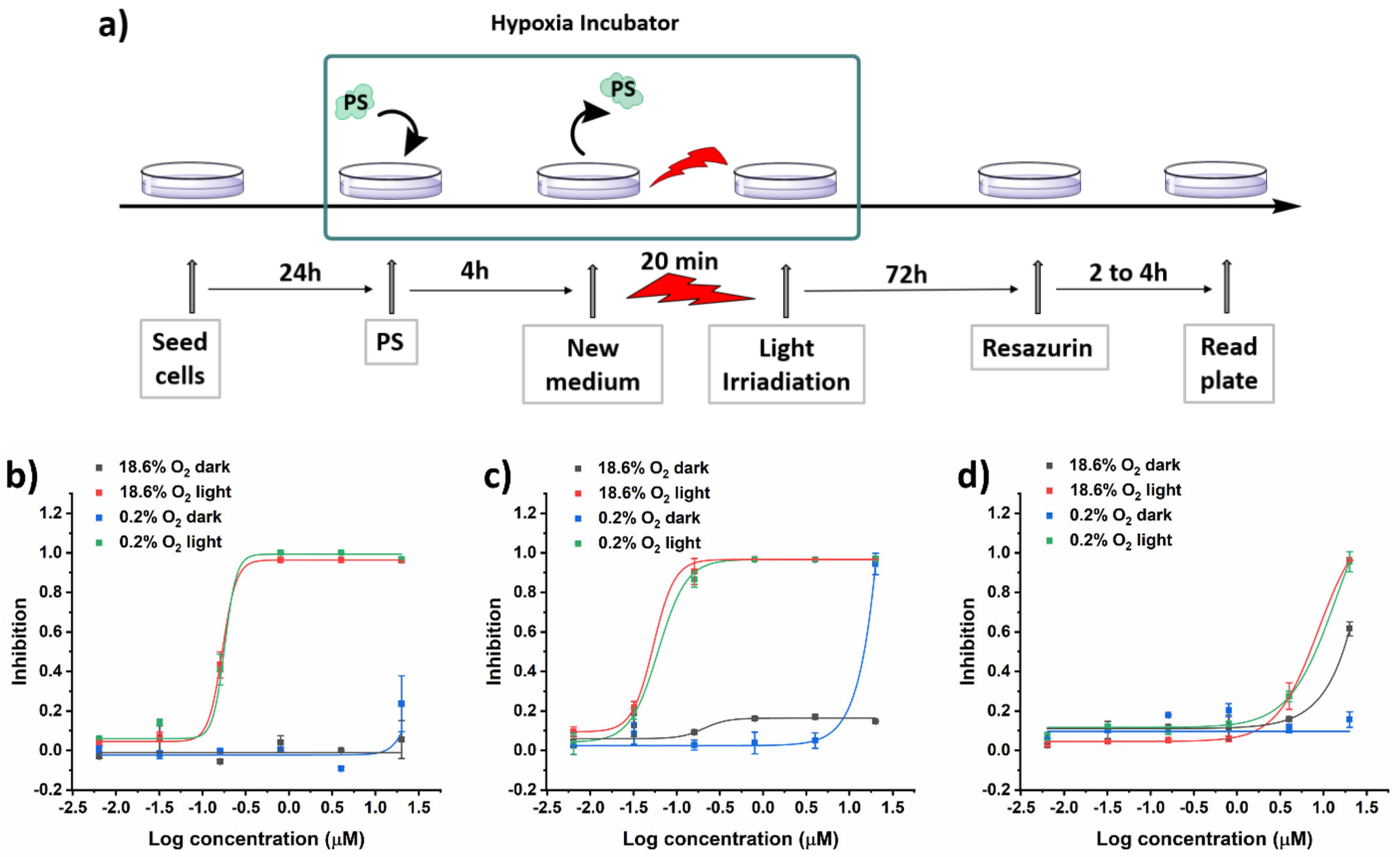 Ijms 23 09525 g006 550