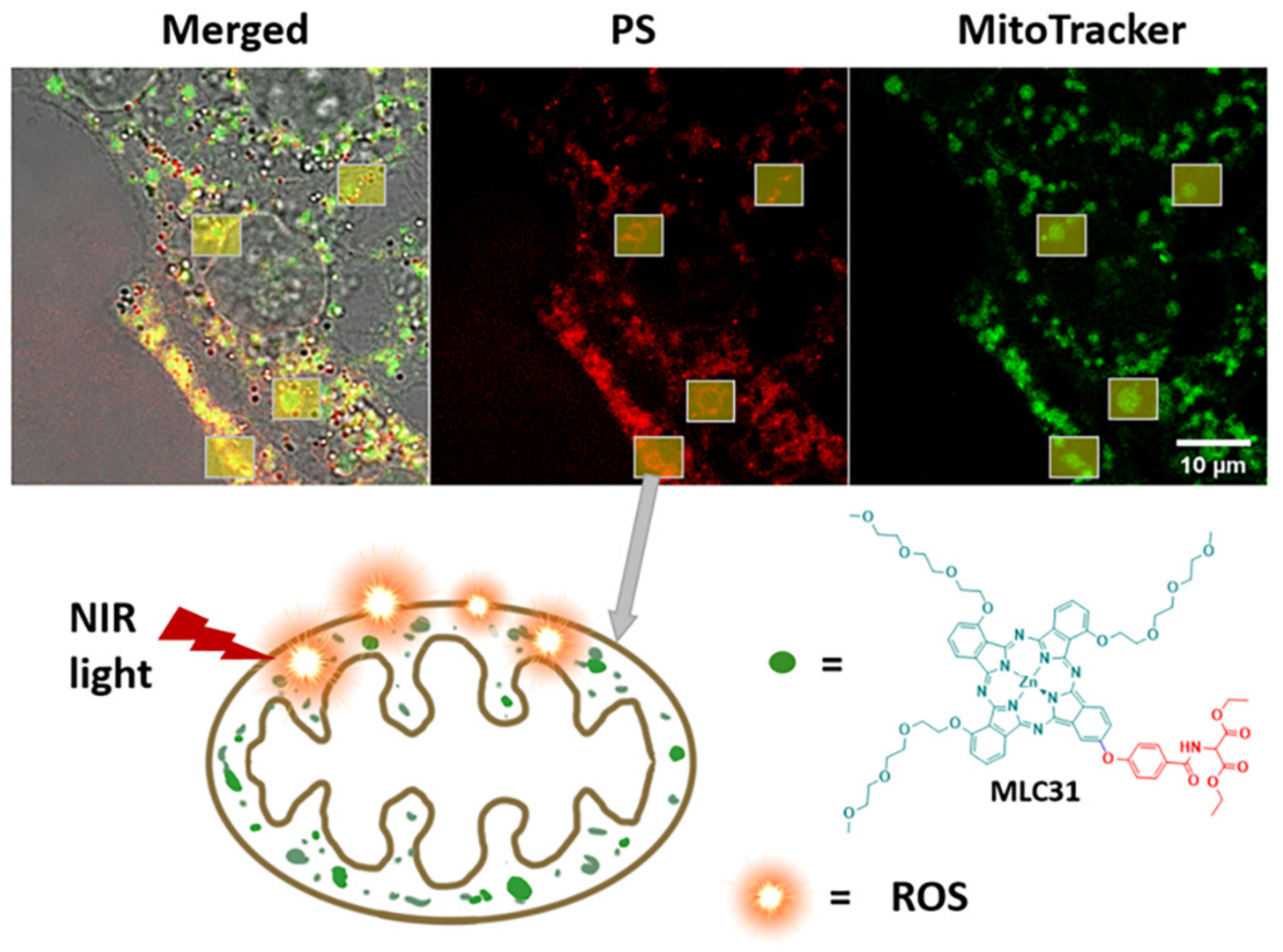 Ijms 23 09525 sch001 550
