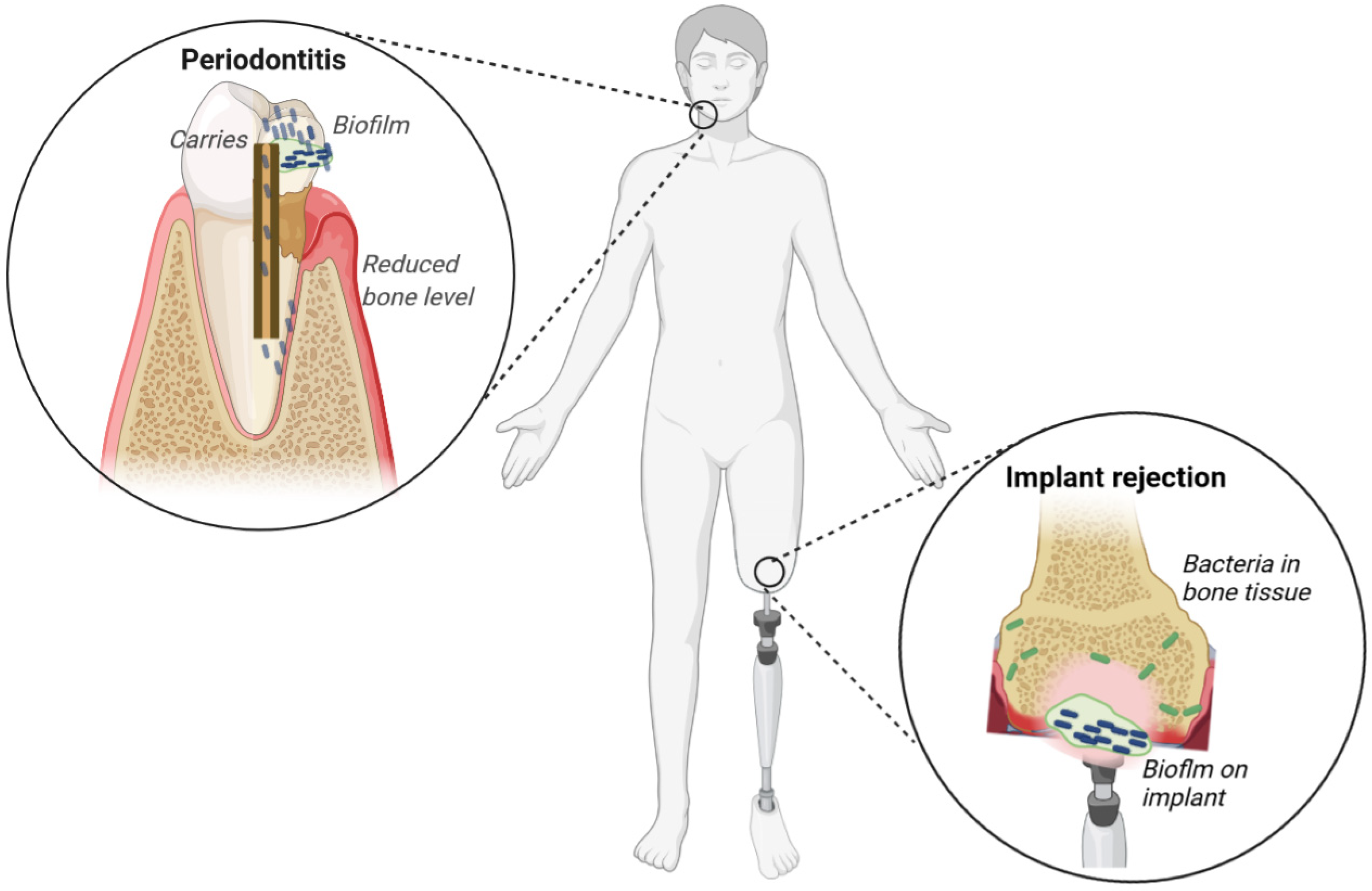 Ijms 23 09526 g002 550