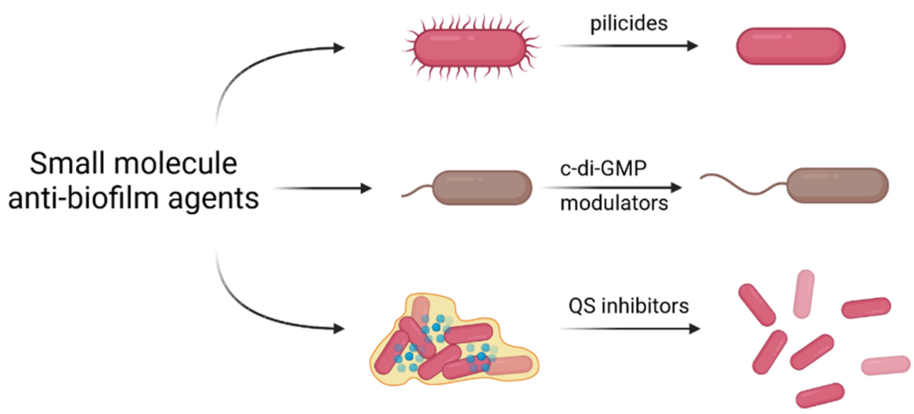 Ijms 23 09526 g004 550