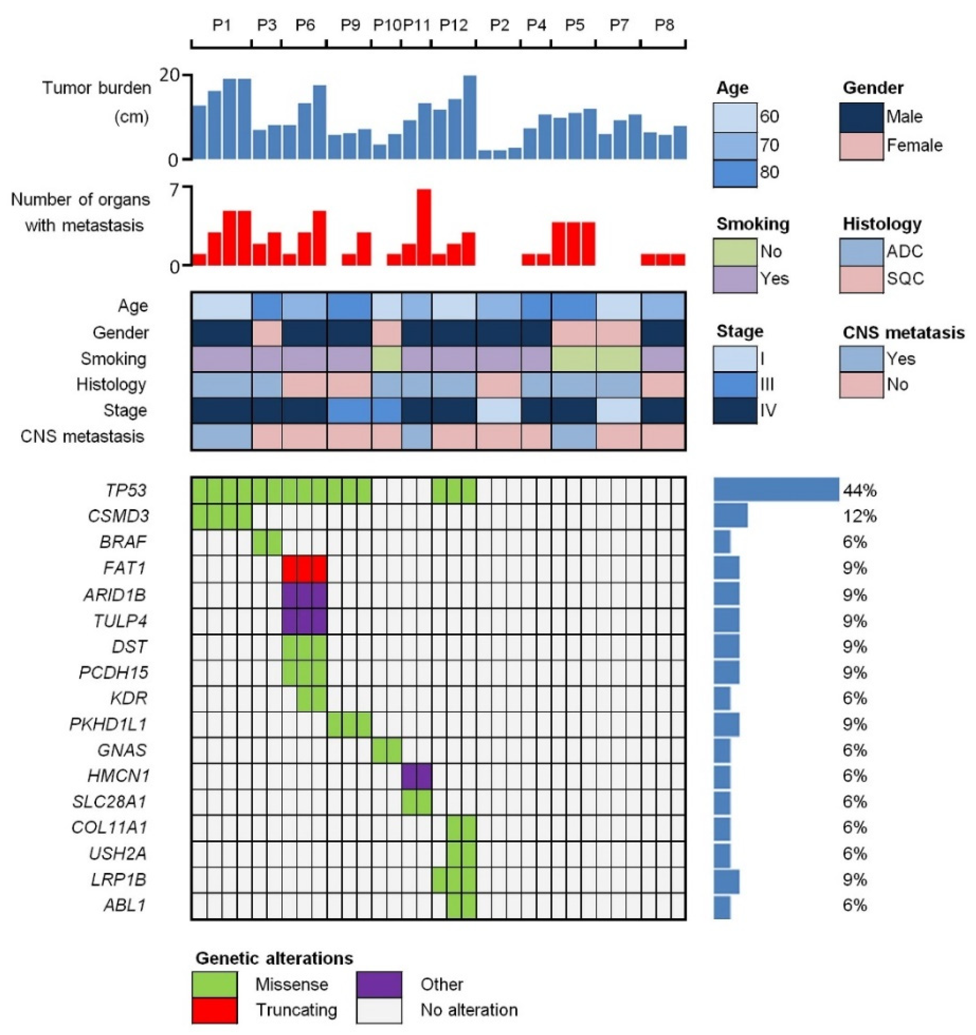 Ijms 23 09527 g001 Ijms 23 09527 g001