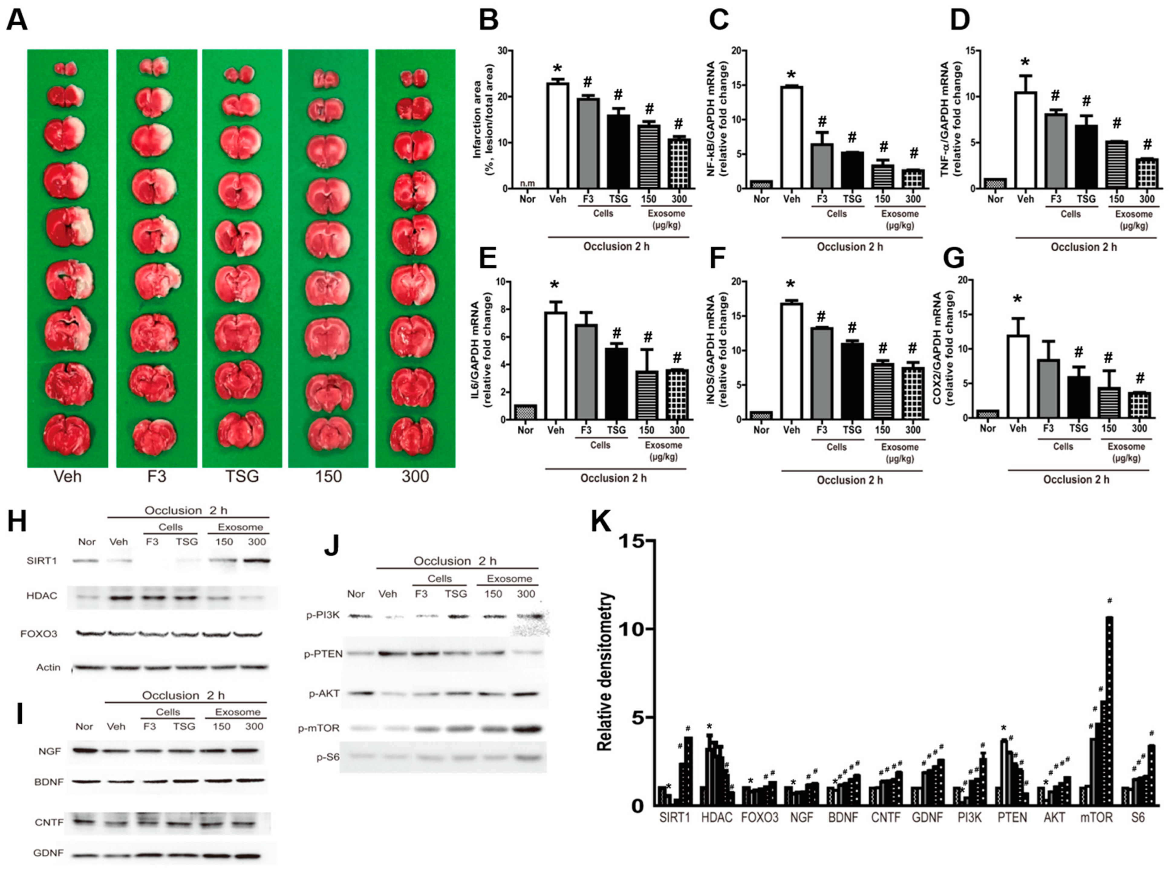 Ijms 23 09532 g004 550