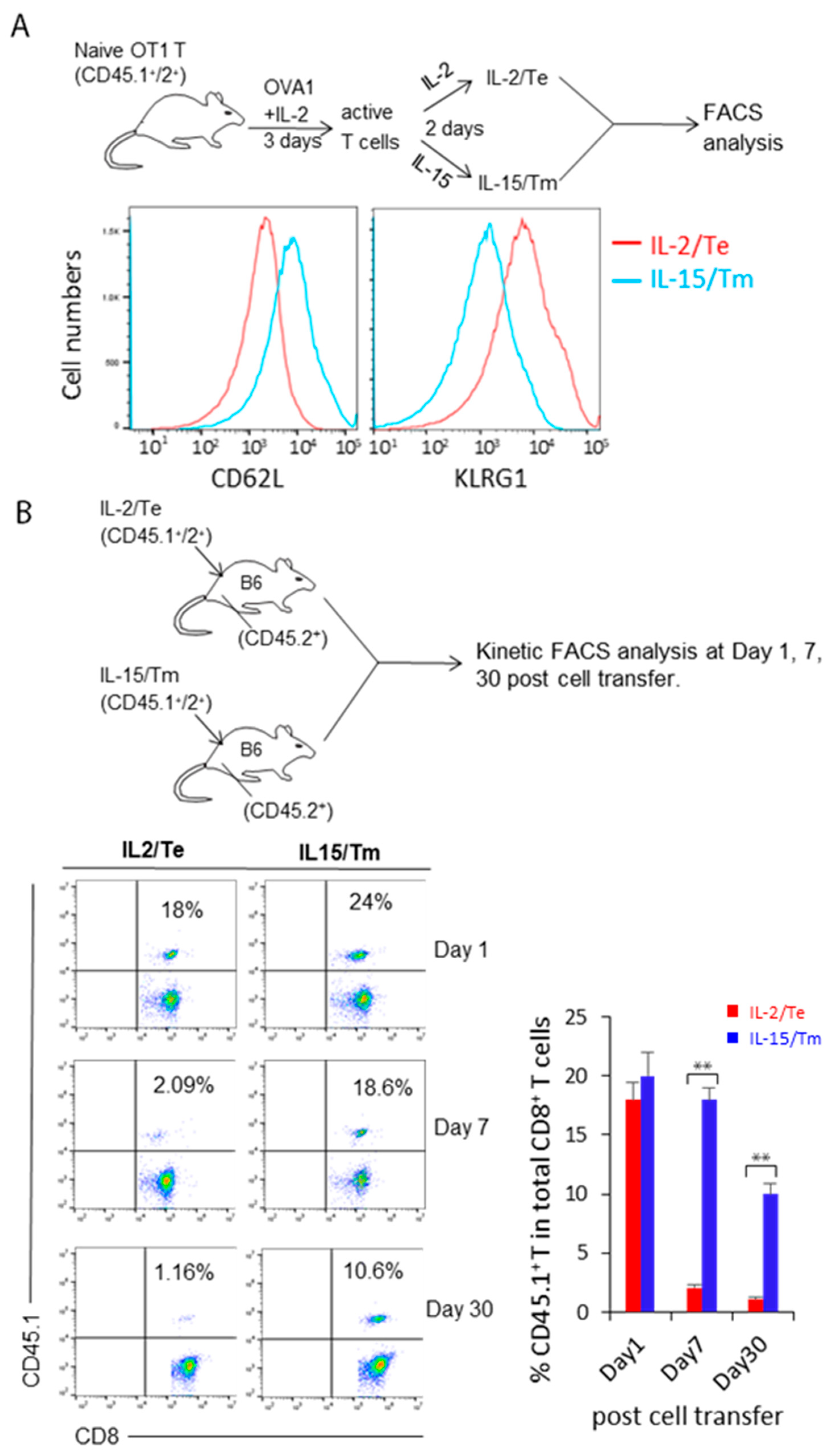 Ijms 23 09534 g001 550