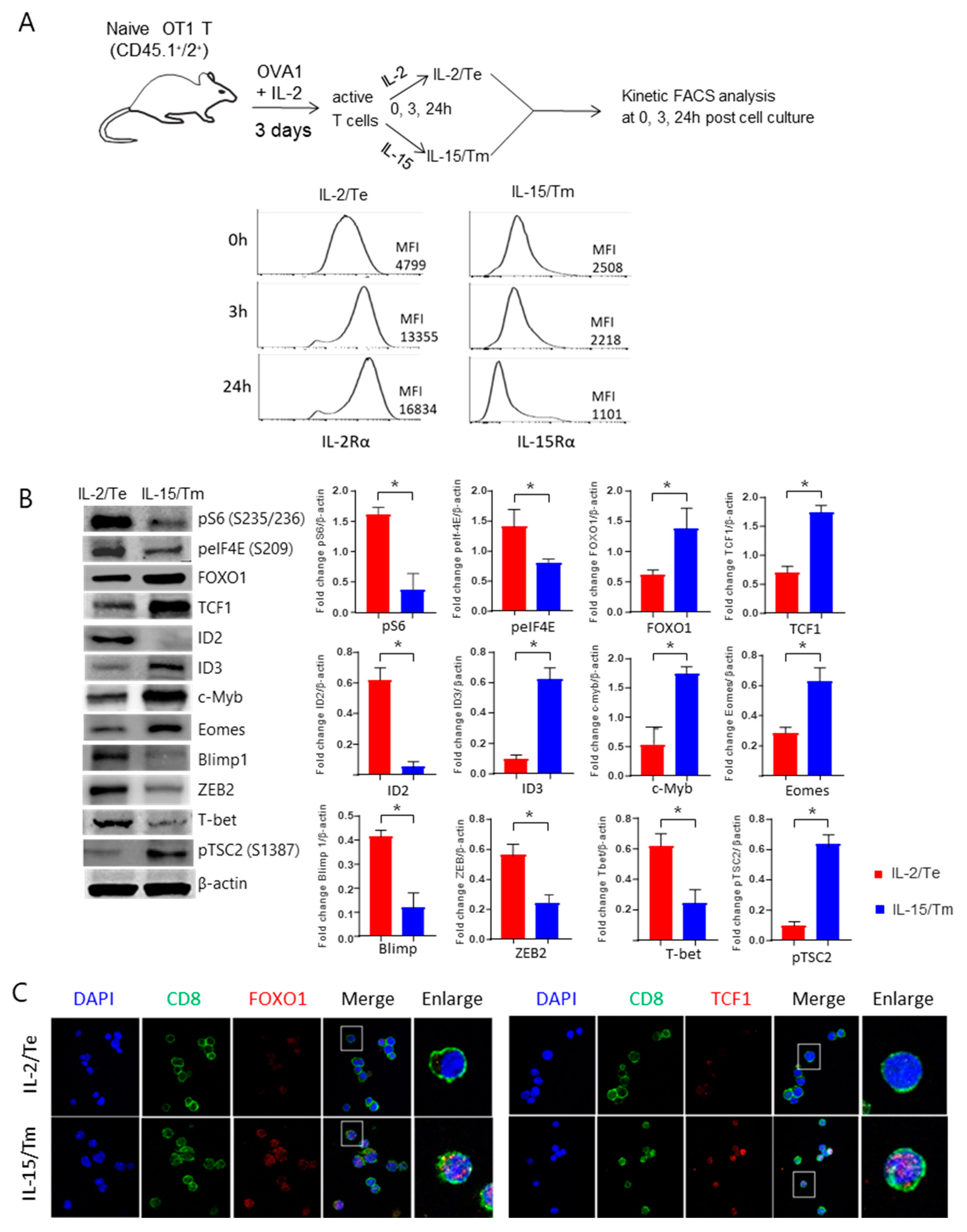 Ijms 23 09534 g002 550