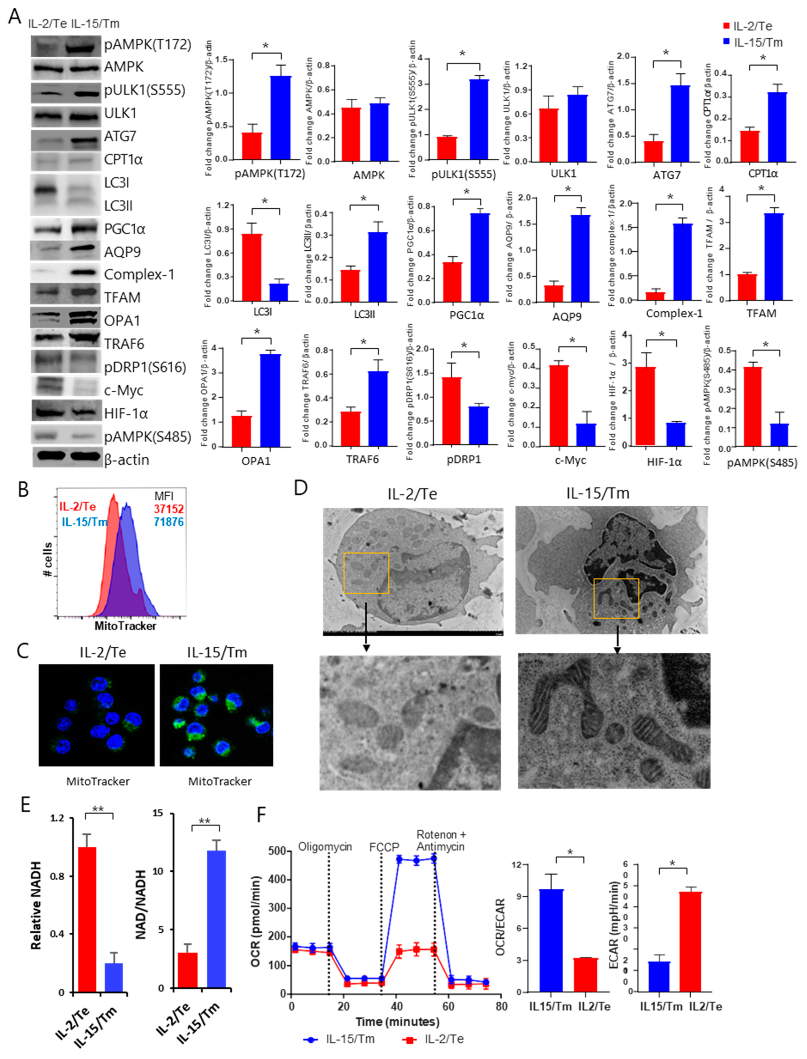 Ijms 23 09534 g003 550