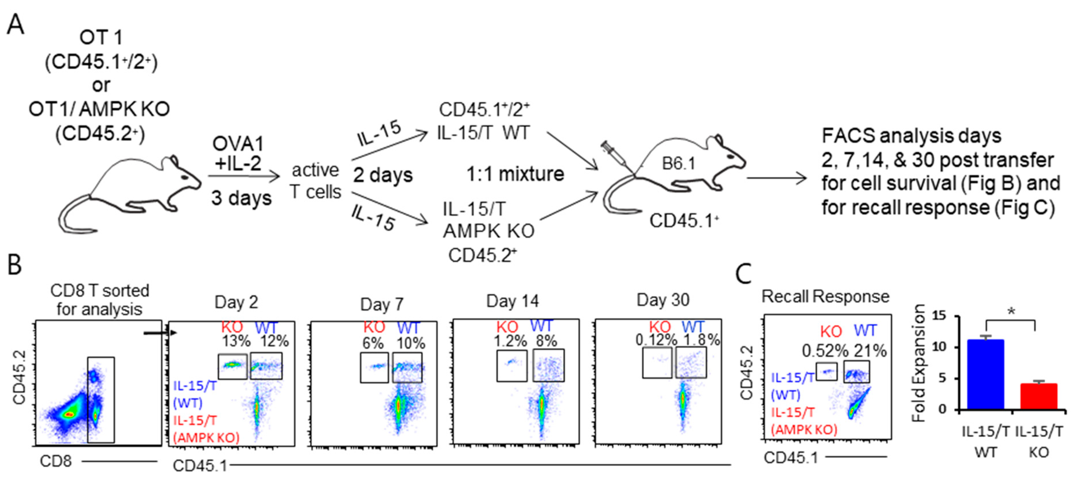 Ijms 23 09534 g005 550