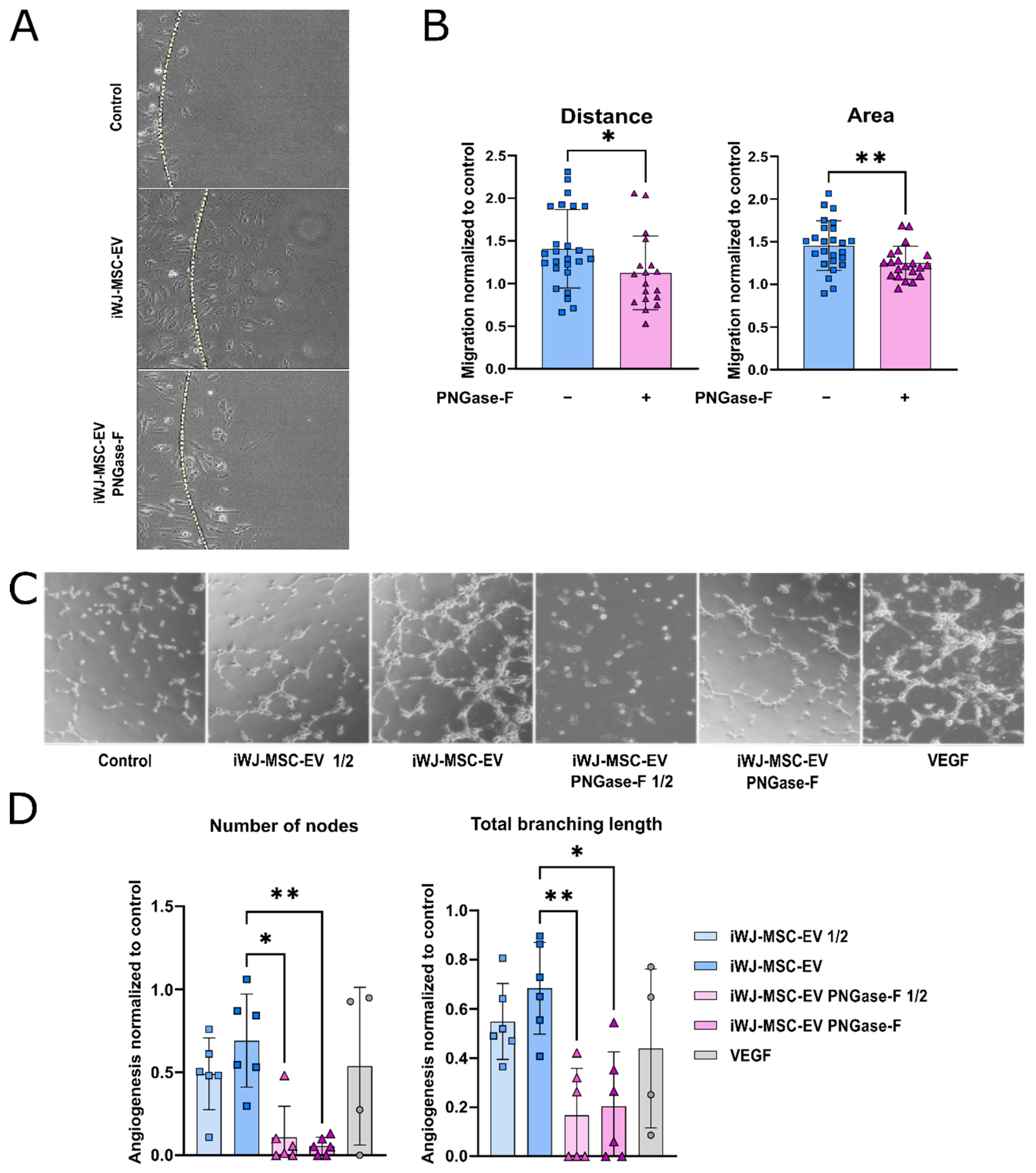 Ijms 23 09539 g003 550