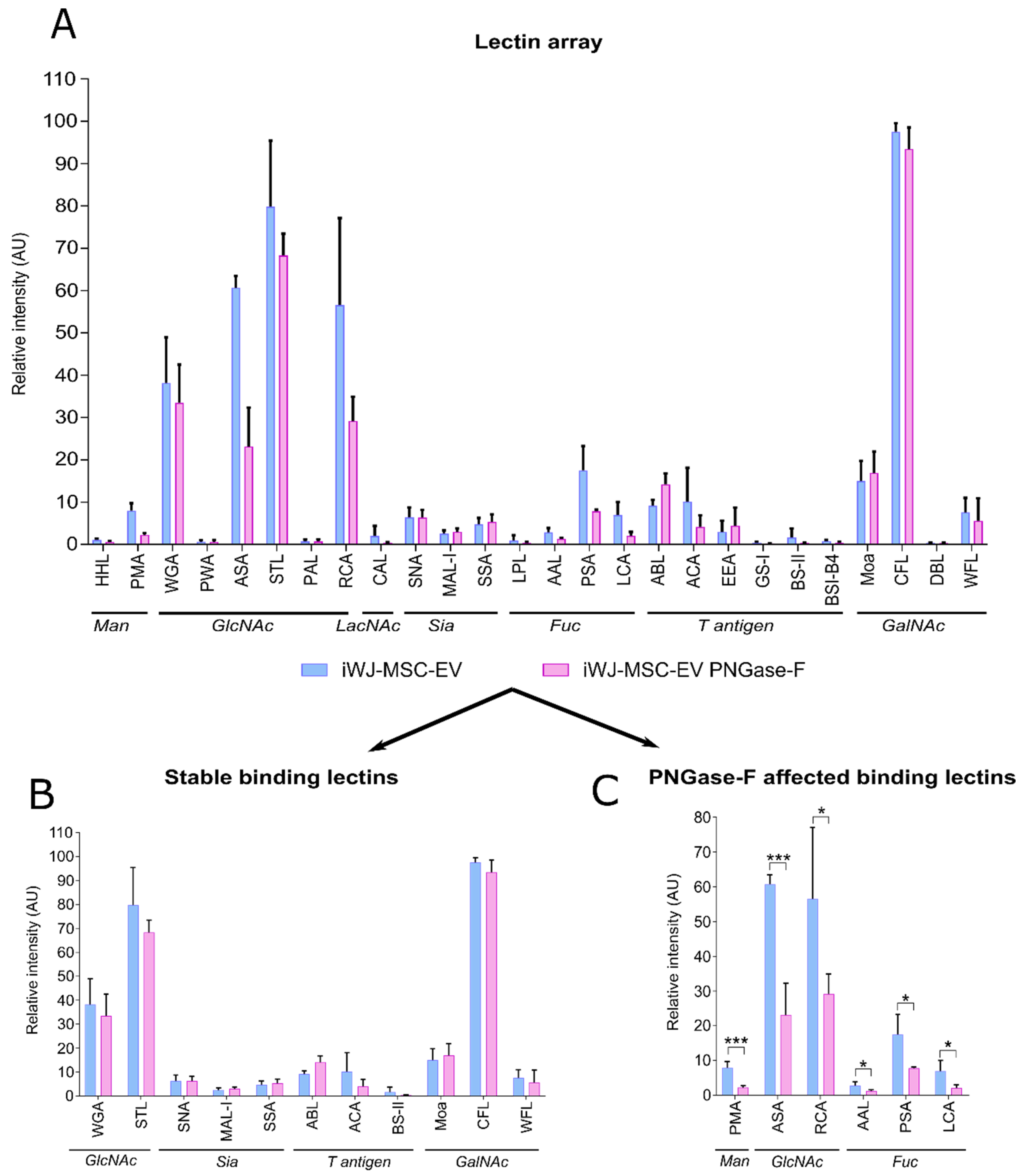 Ijms 23 09539 g004 550