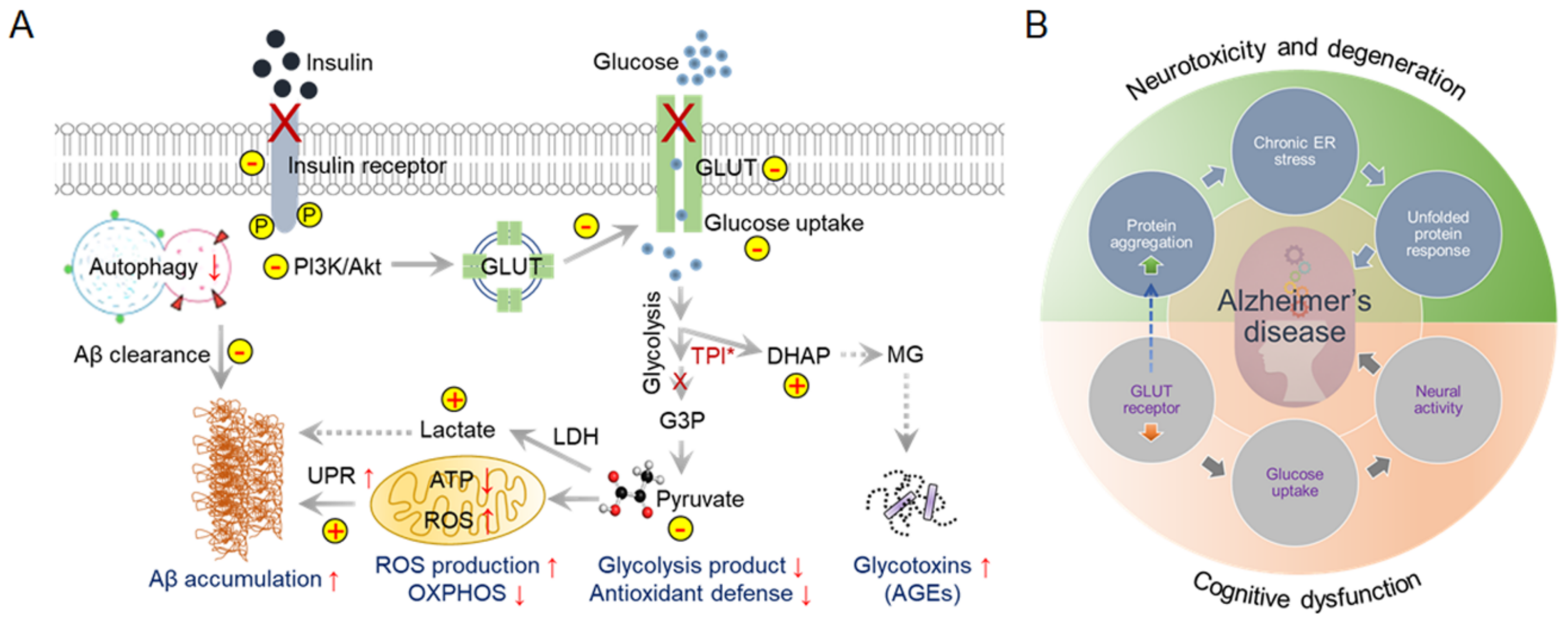 Ijms 23 09540 g001 550