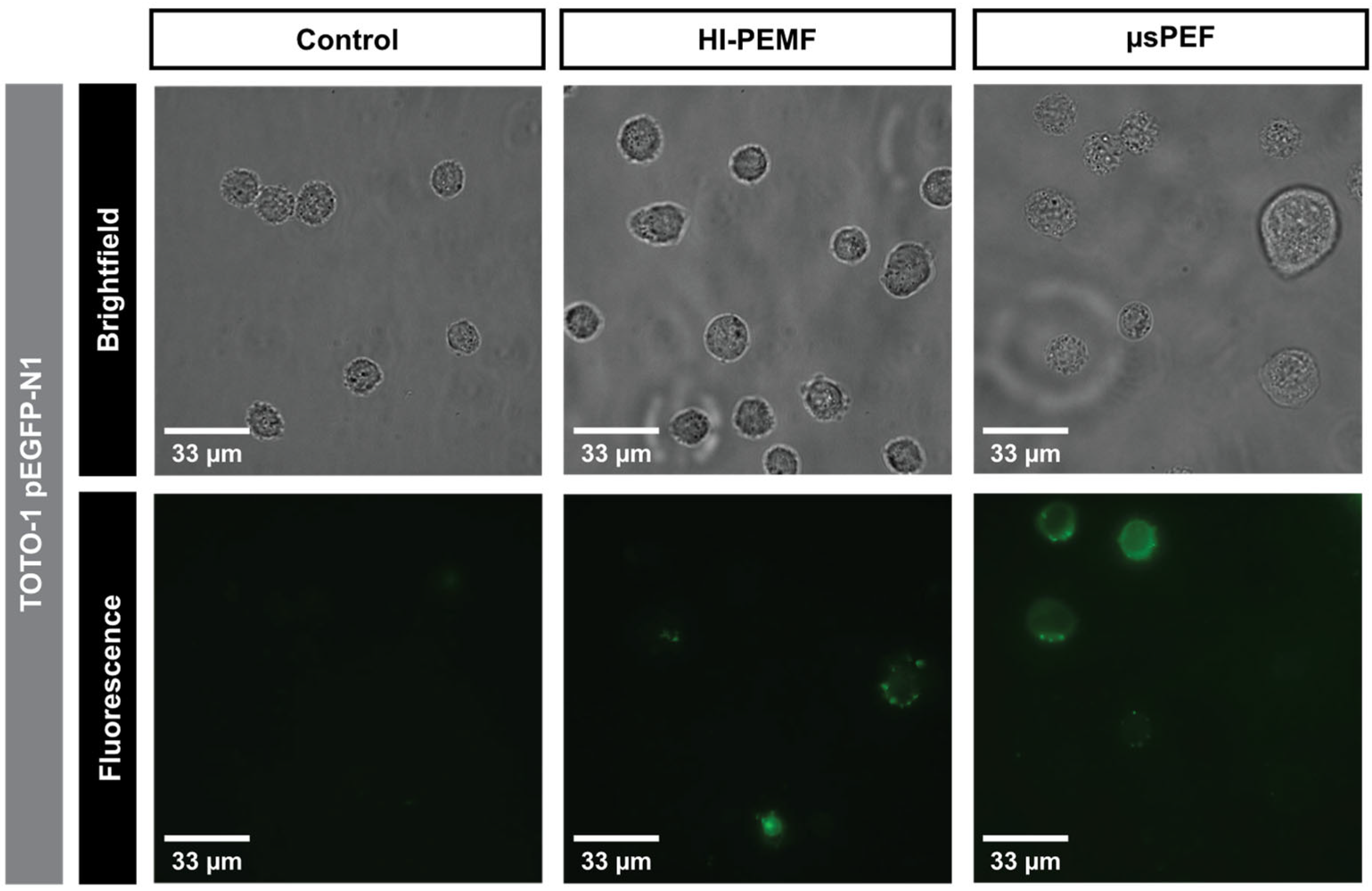 Ijms 23 09543 g001 550