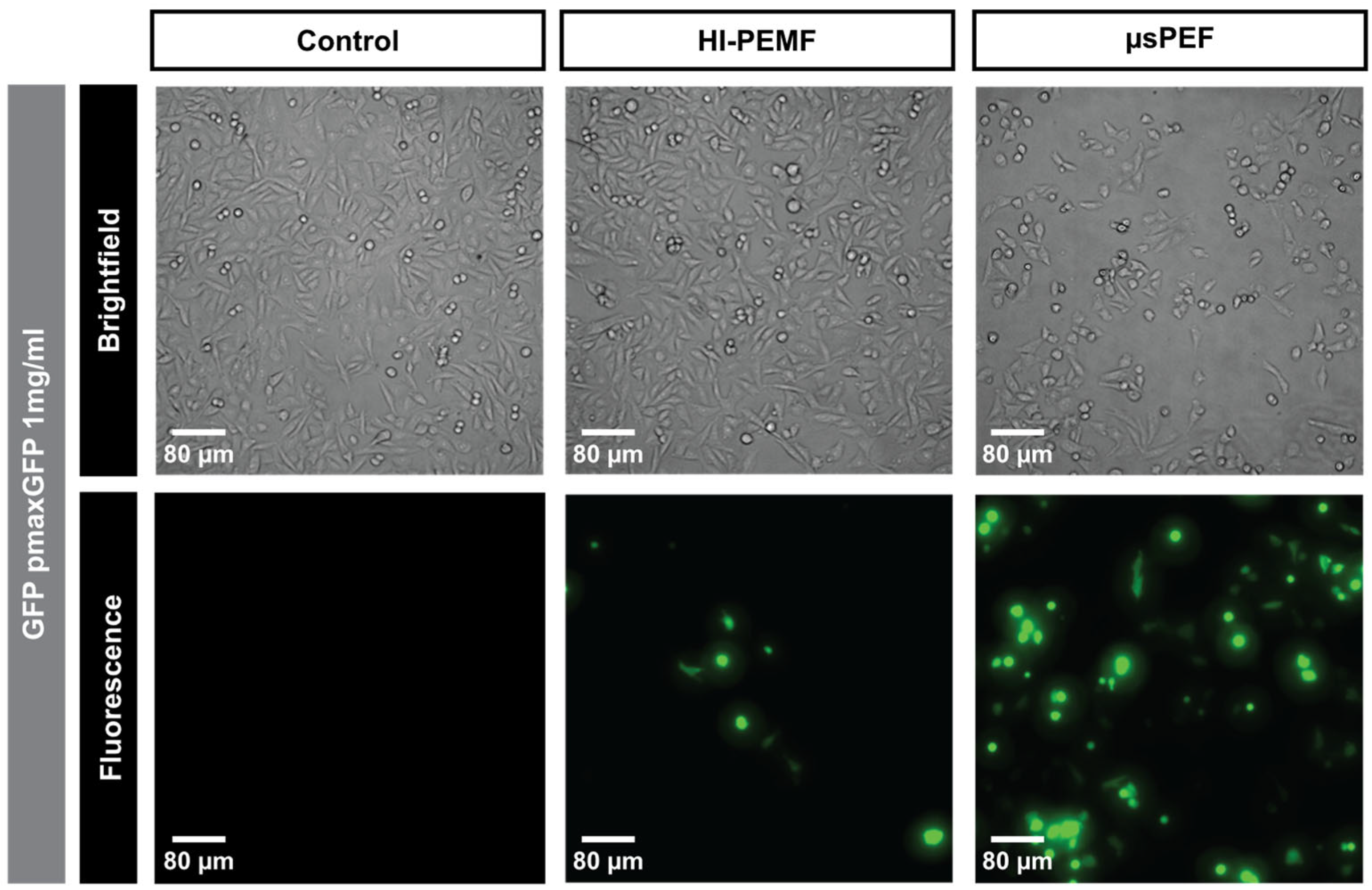 Ijms 23 09543 g003 550
