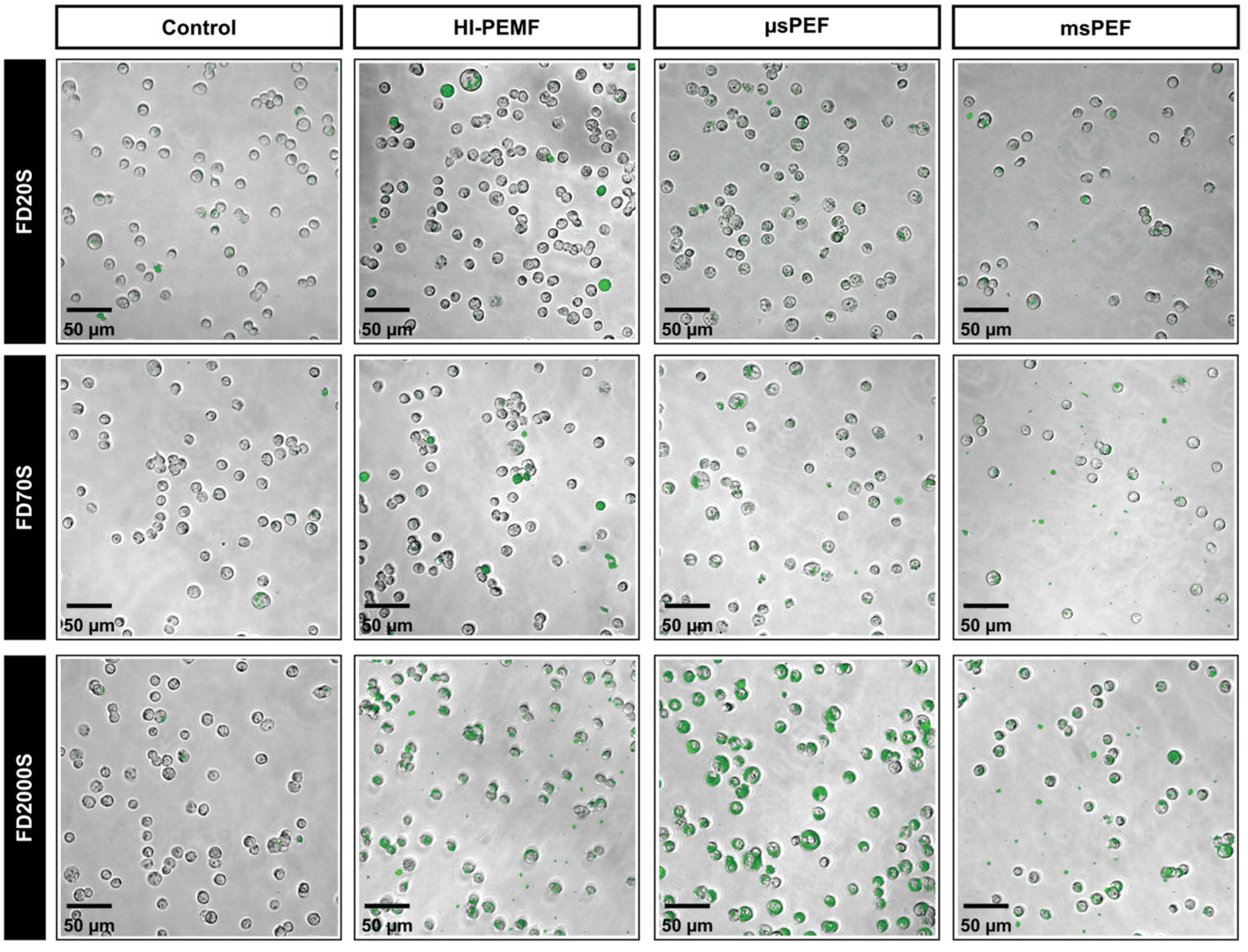 Ijms 23 09543 g006 550