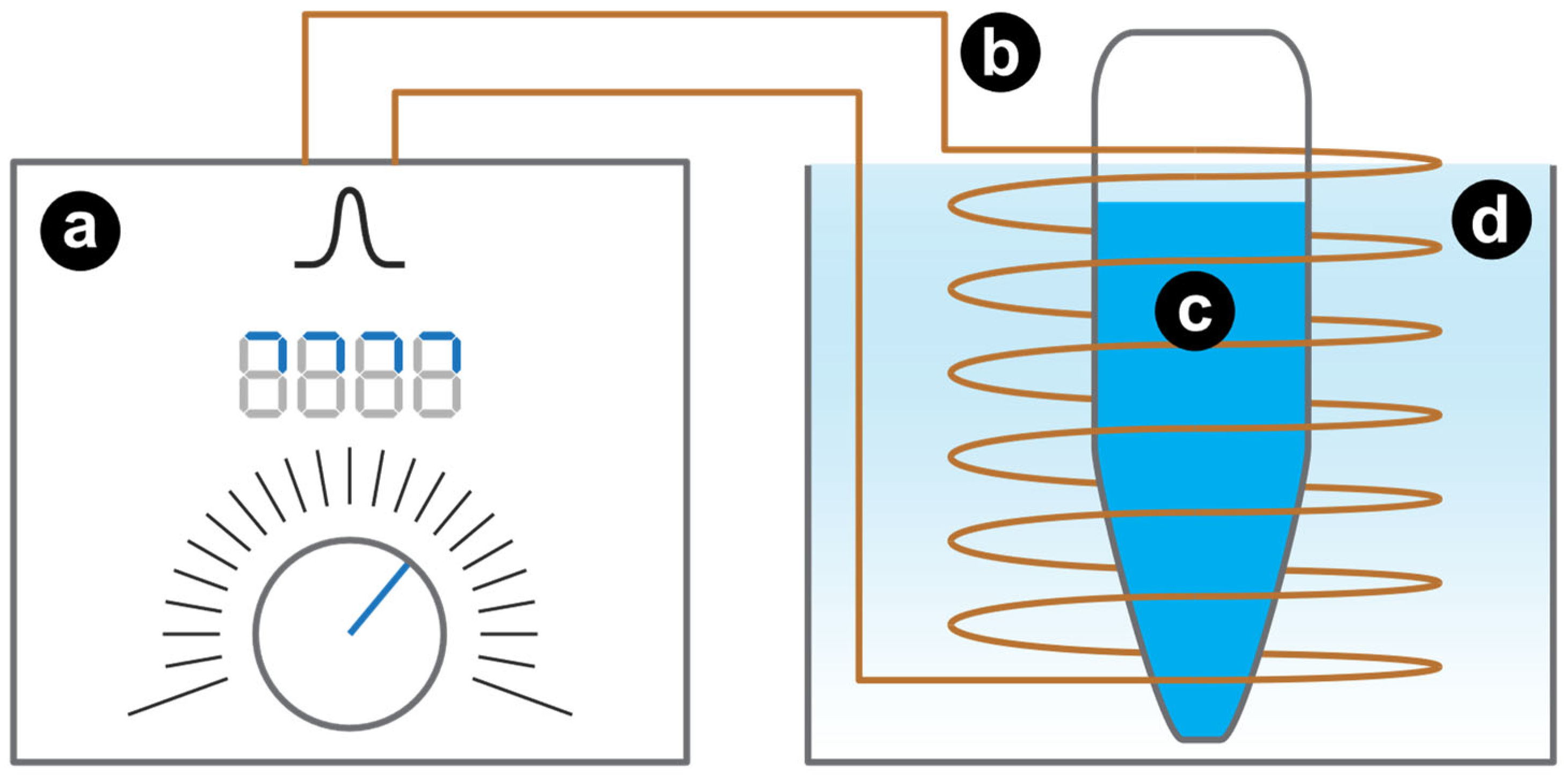 Ijms 23 09543 g007 550