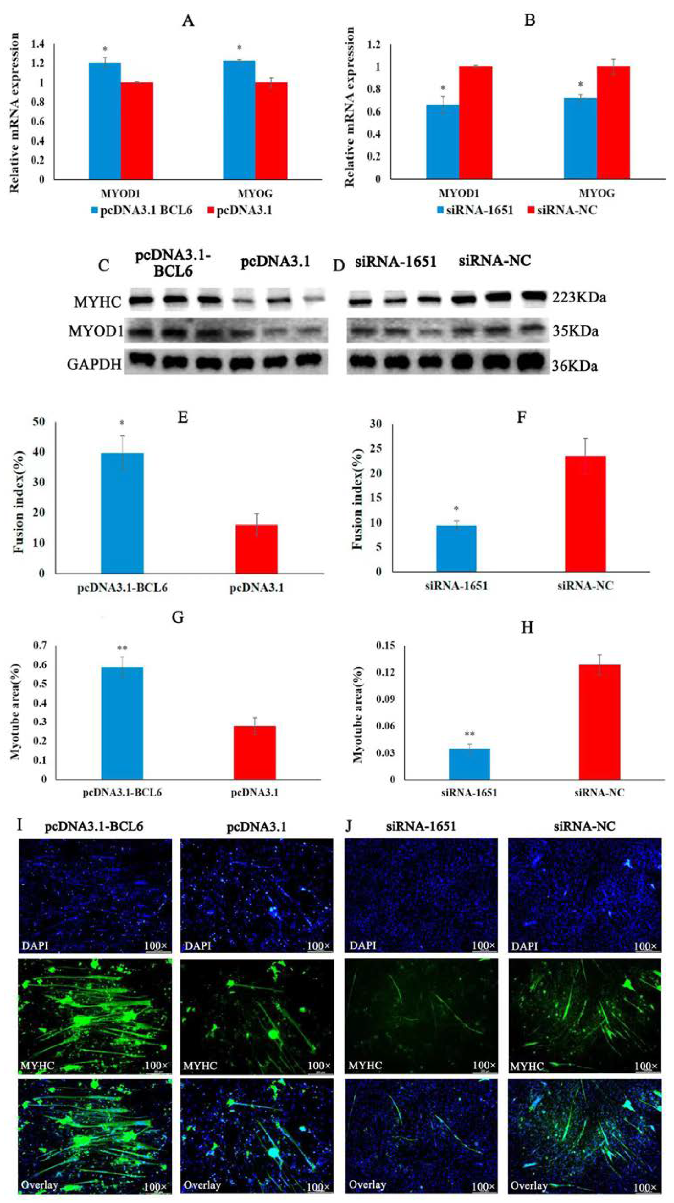 Ijms 23 09545 g006 550