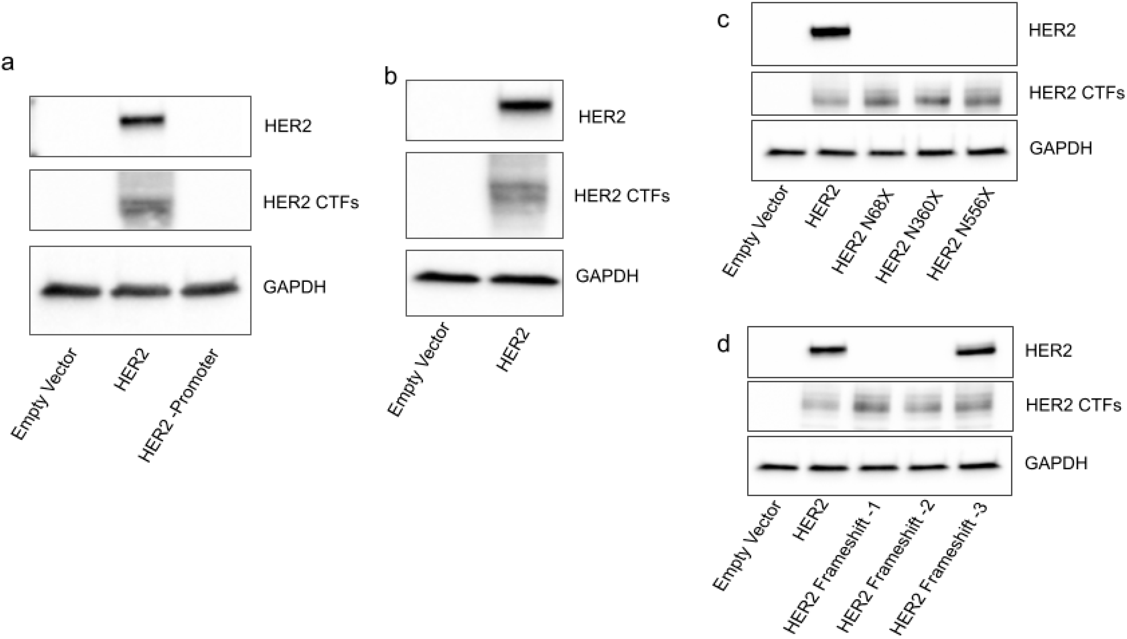 Ijms 23 09549 g001 550