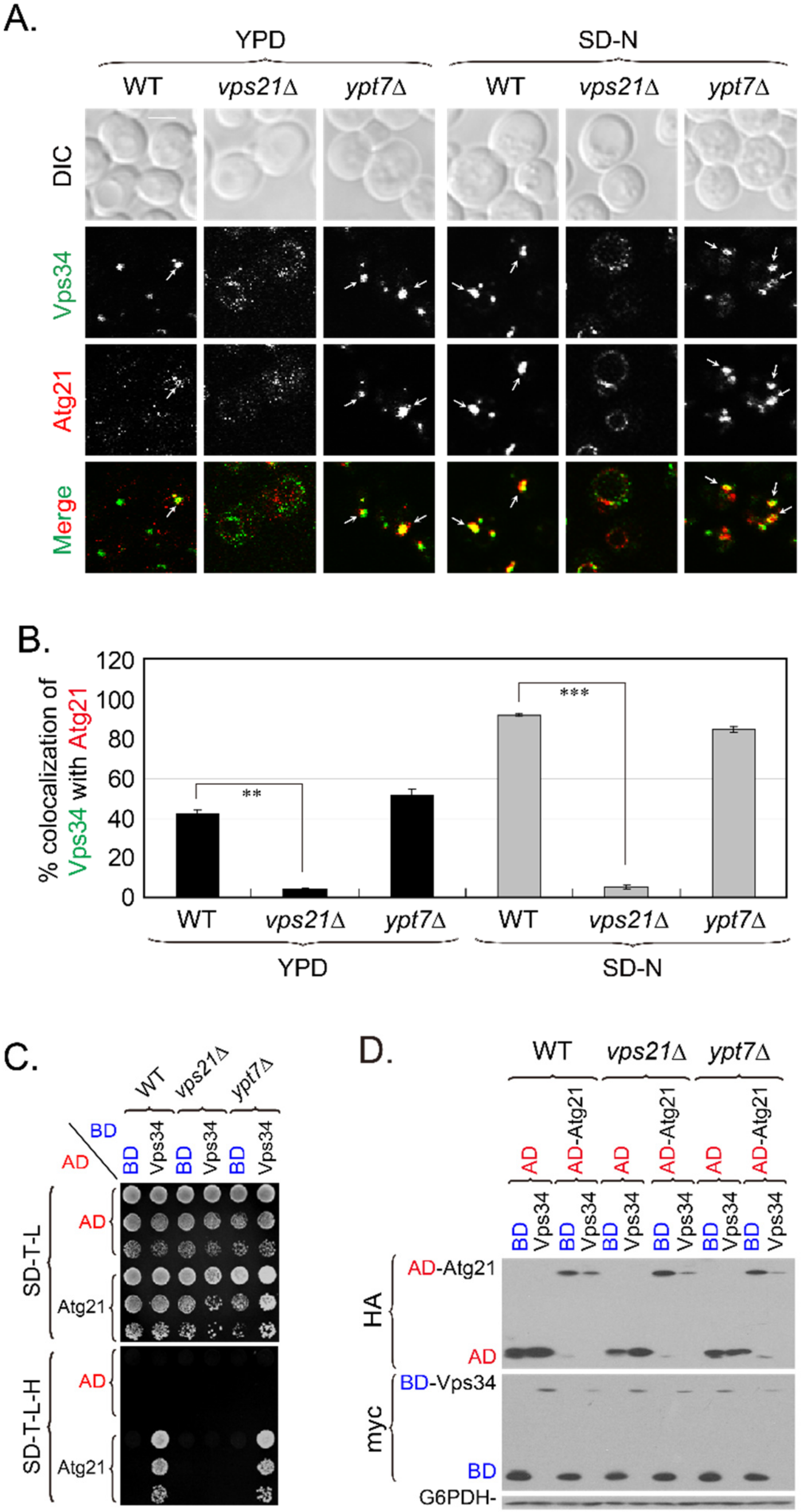 Ijms 23 09550 g002 Ijms 23 09550 g002