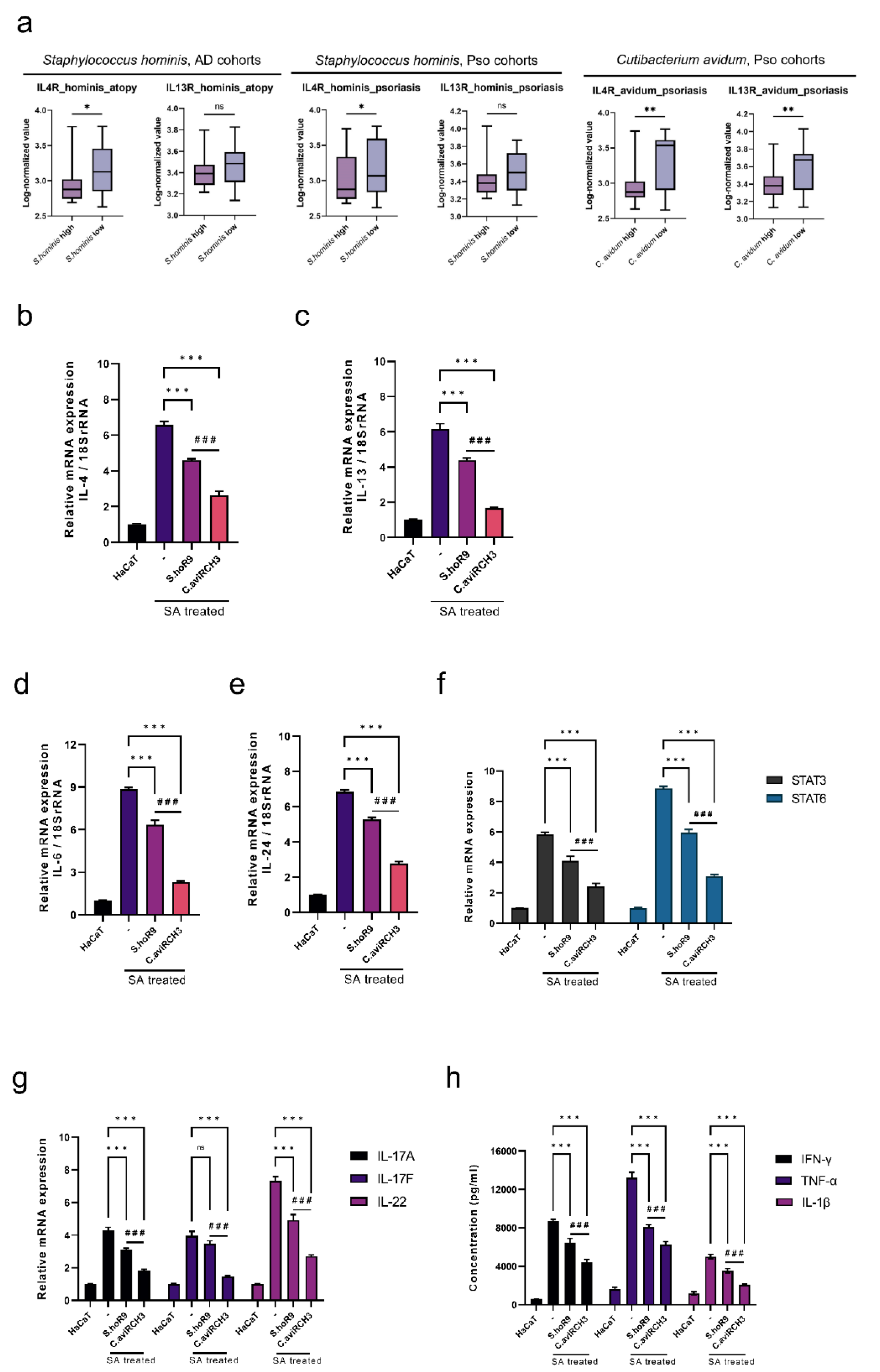 Ijms 23 09551 g003 550