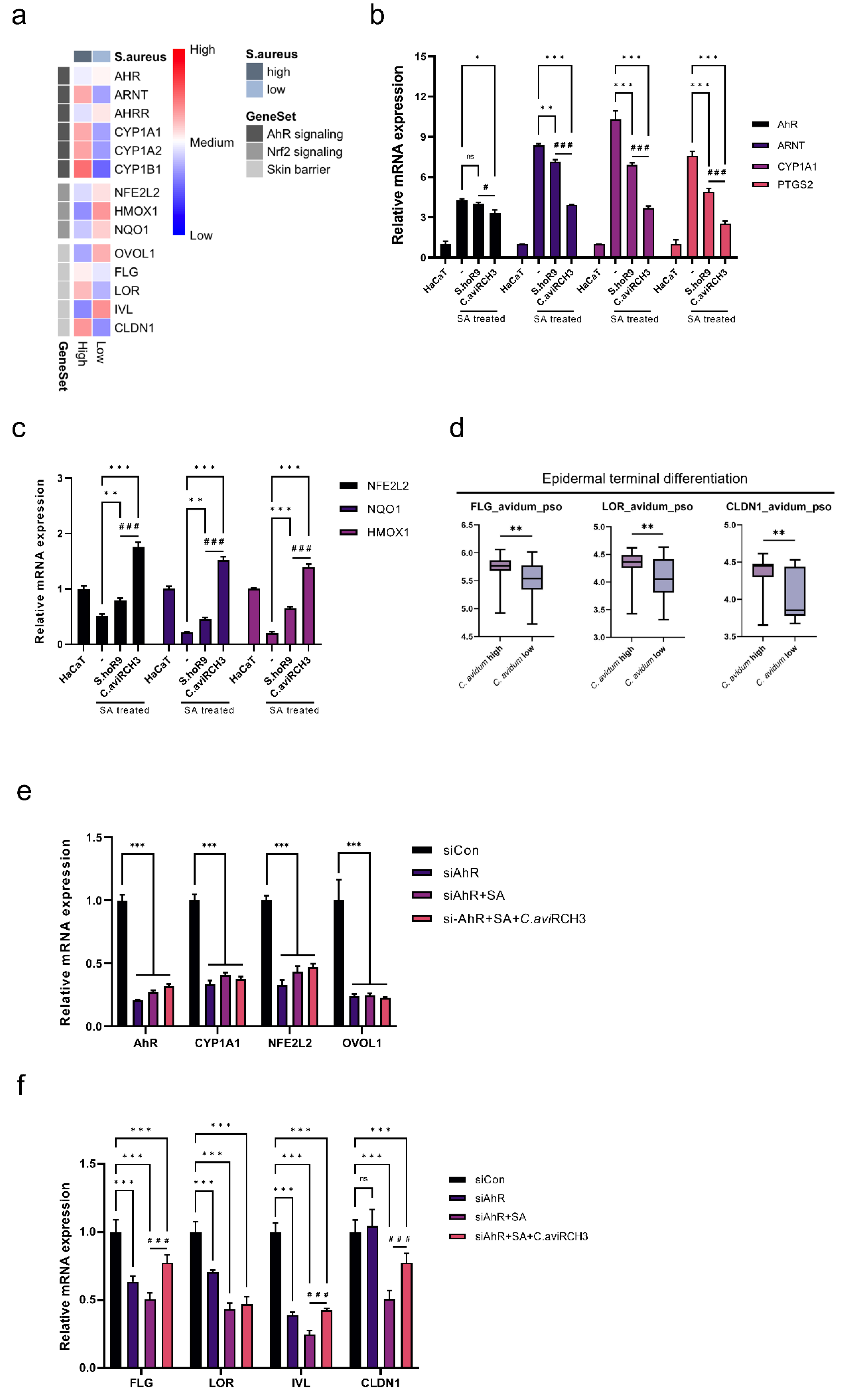 Ijms 23 09551 g004 550