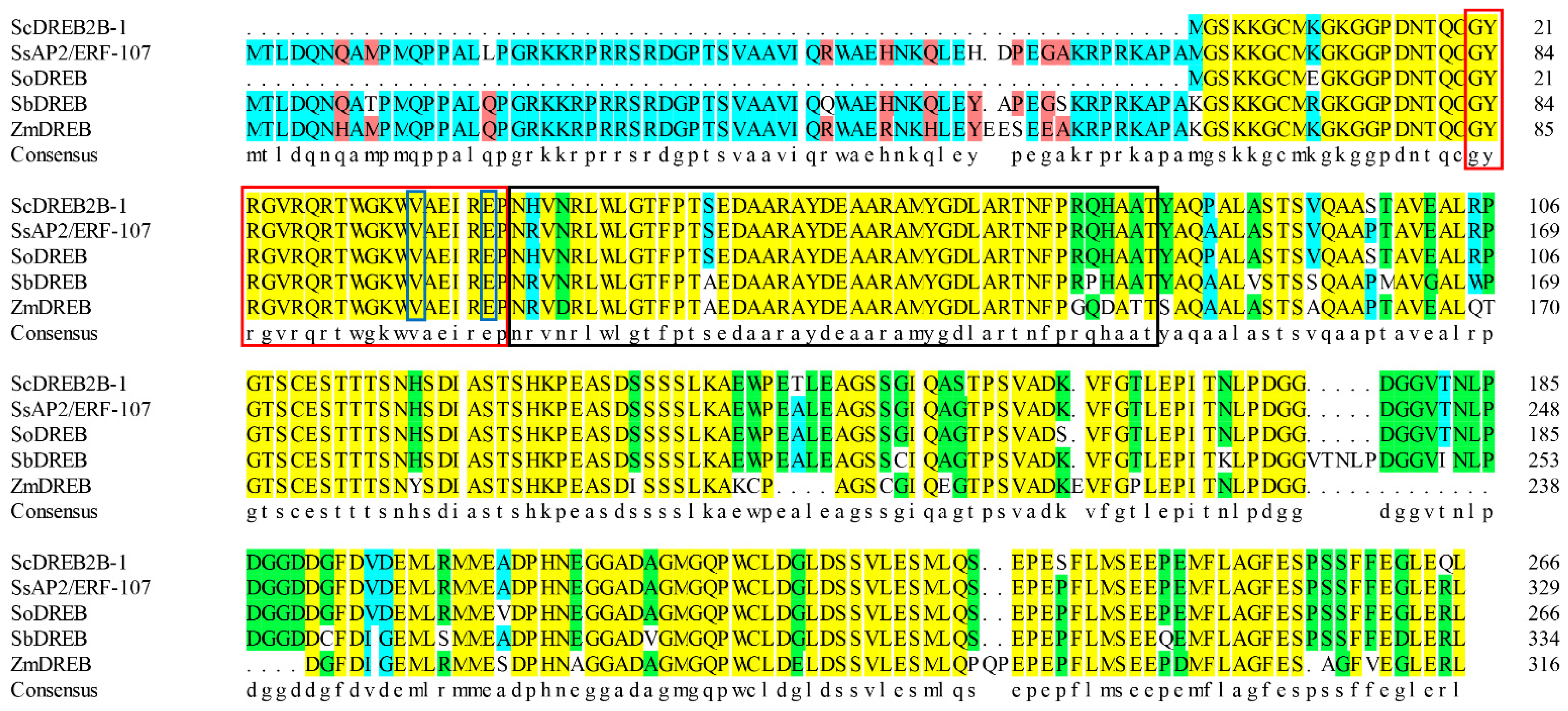 Ijms 23 09557 g001 Ijms 23 09557 g001
