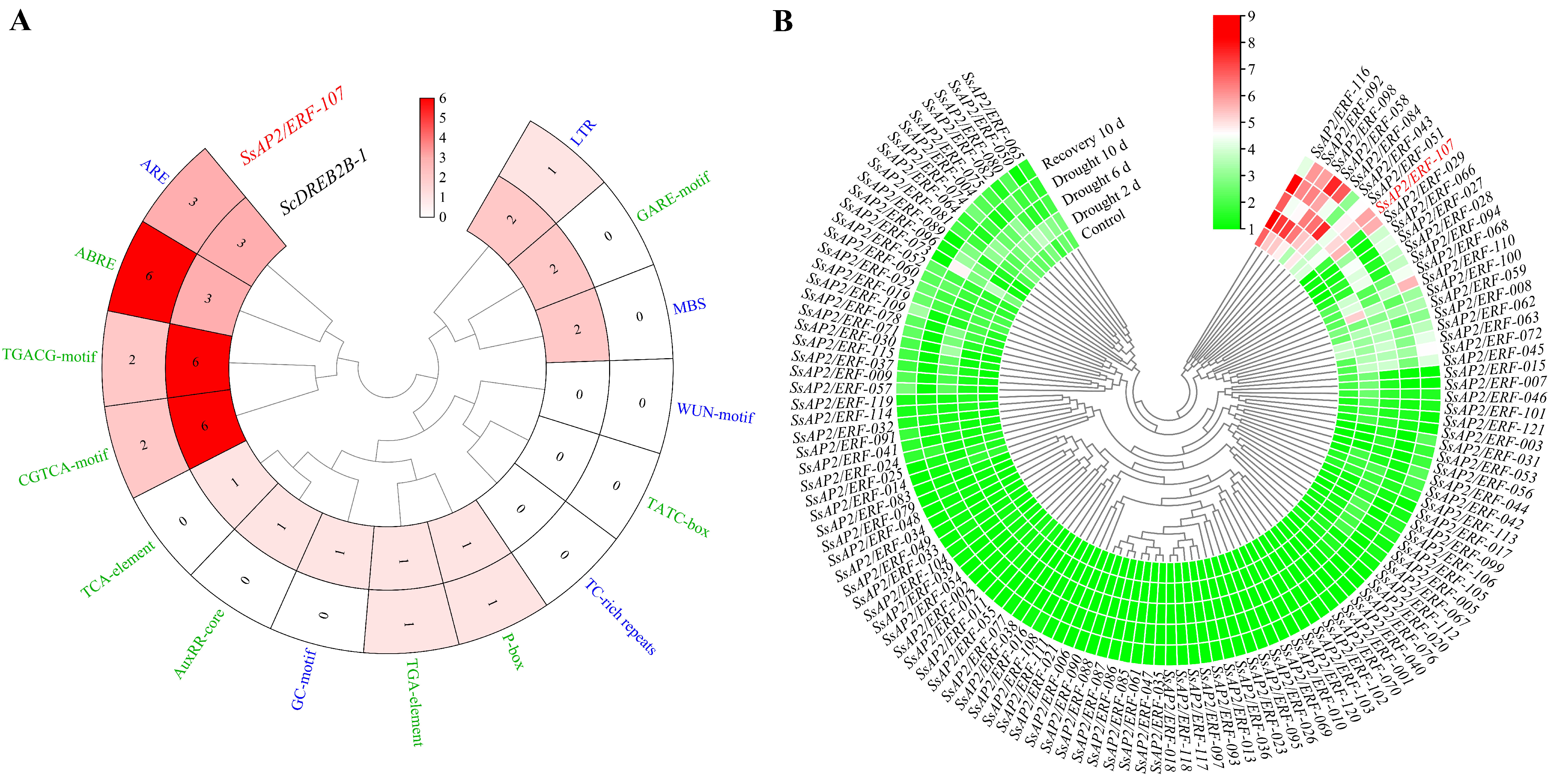Ijms 23 09557 g004 Ijms 23 09557 g004