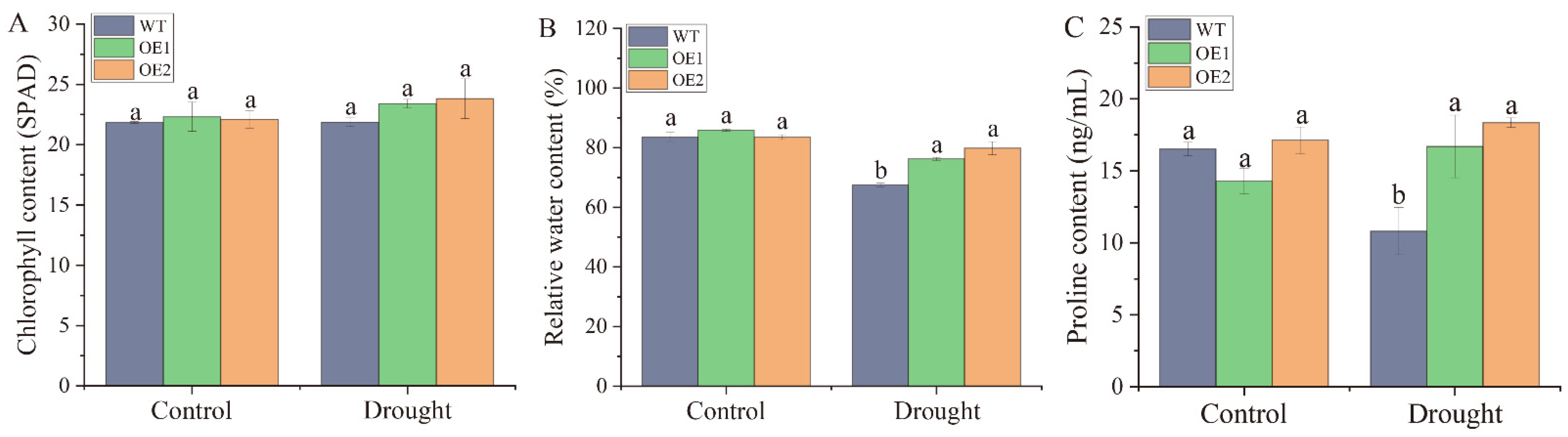 Ijms 23 09557 g007 Ijms 23 09557 g007