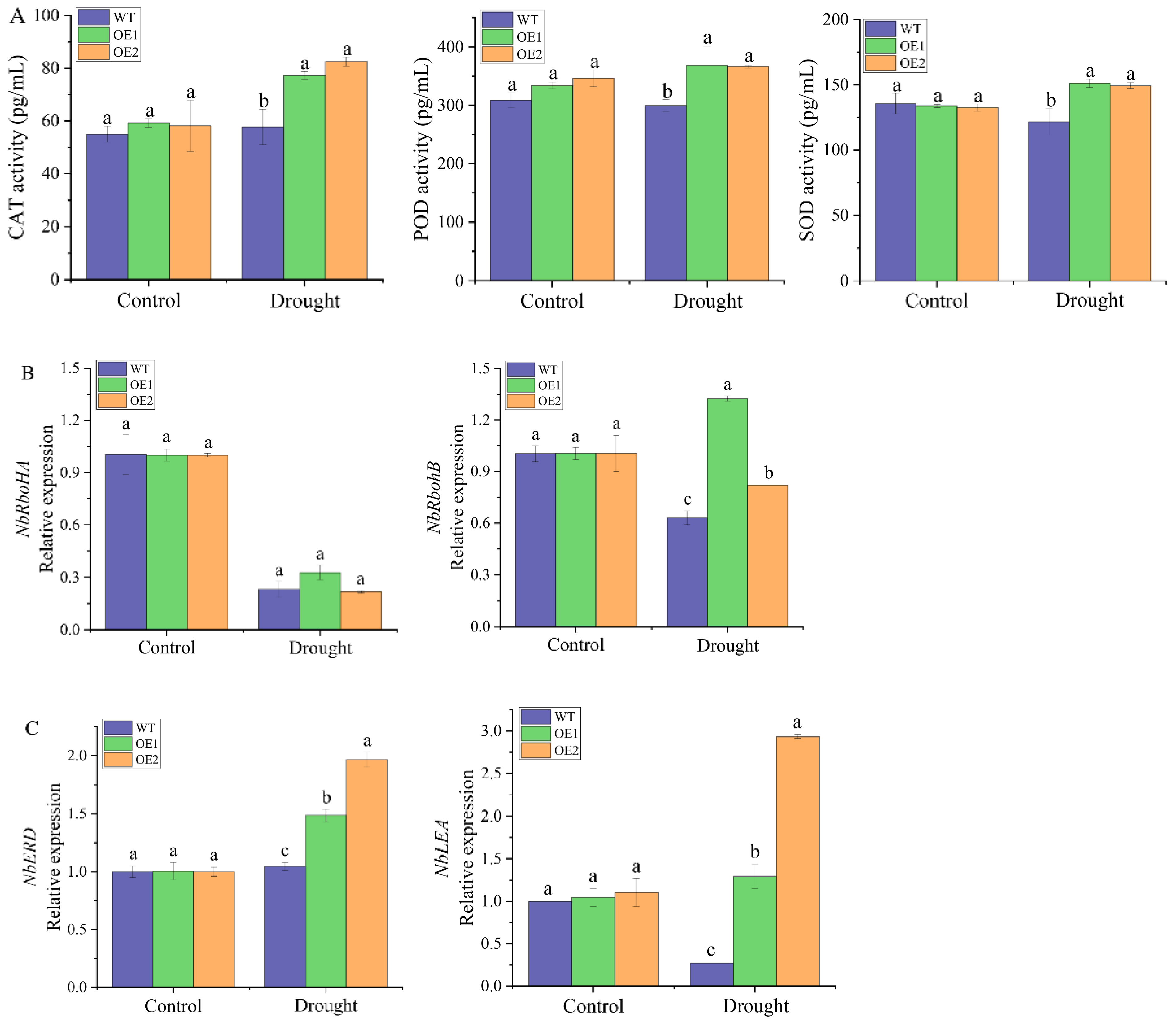 Ijms 23 09557 g009 Ijms 23 09557 g009