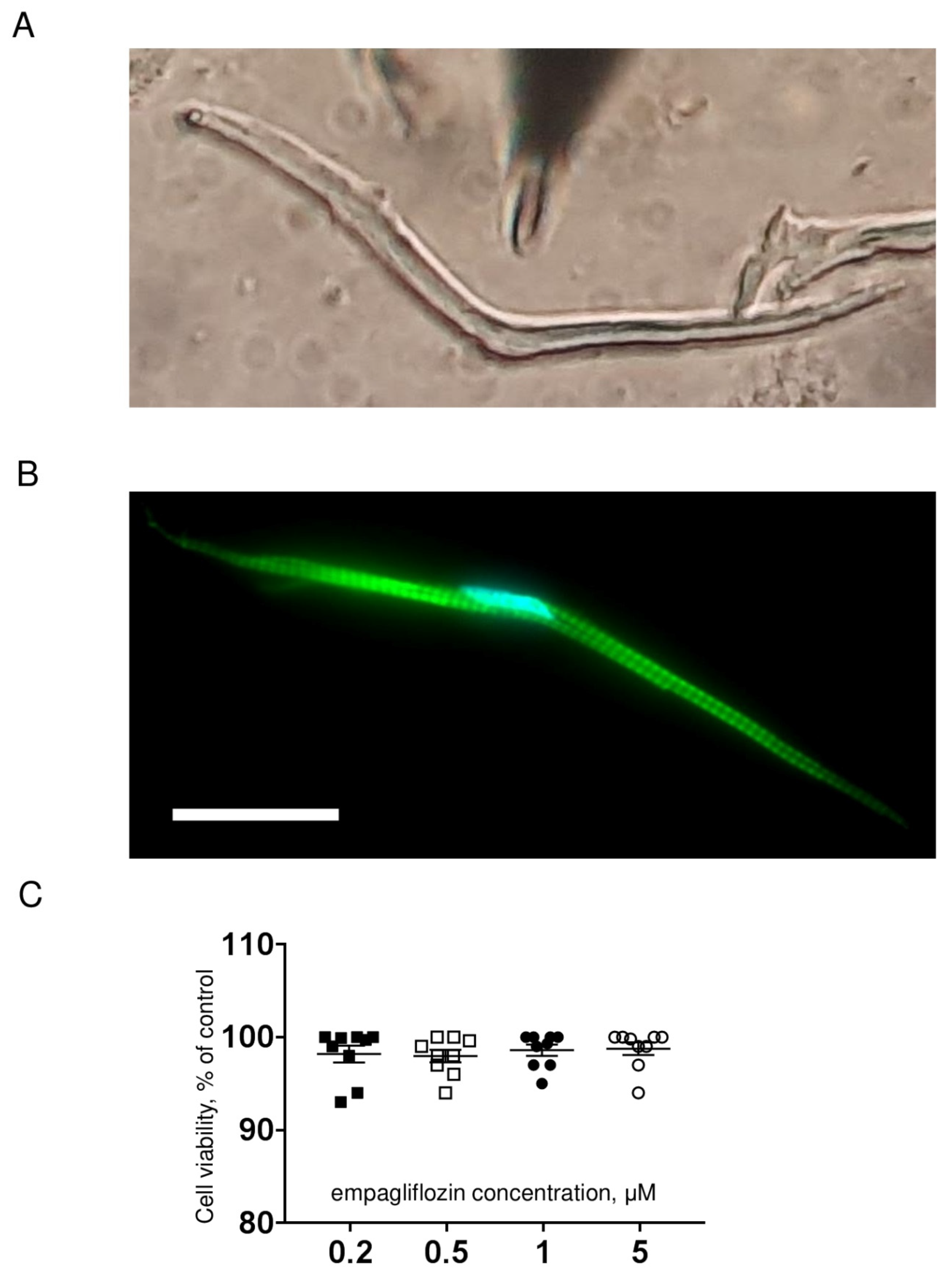 Ijms 23 09559 g001 Ijms 23 09559 g001