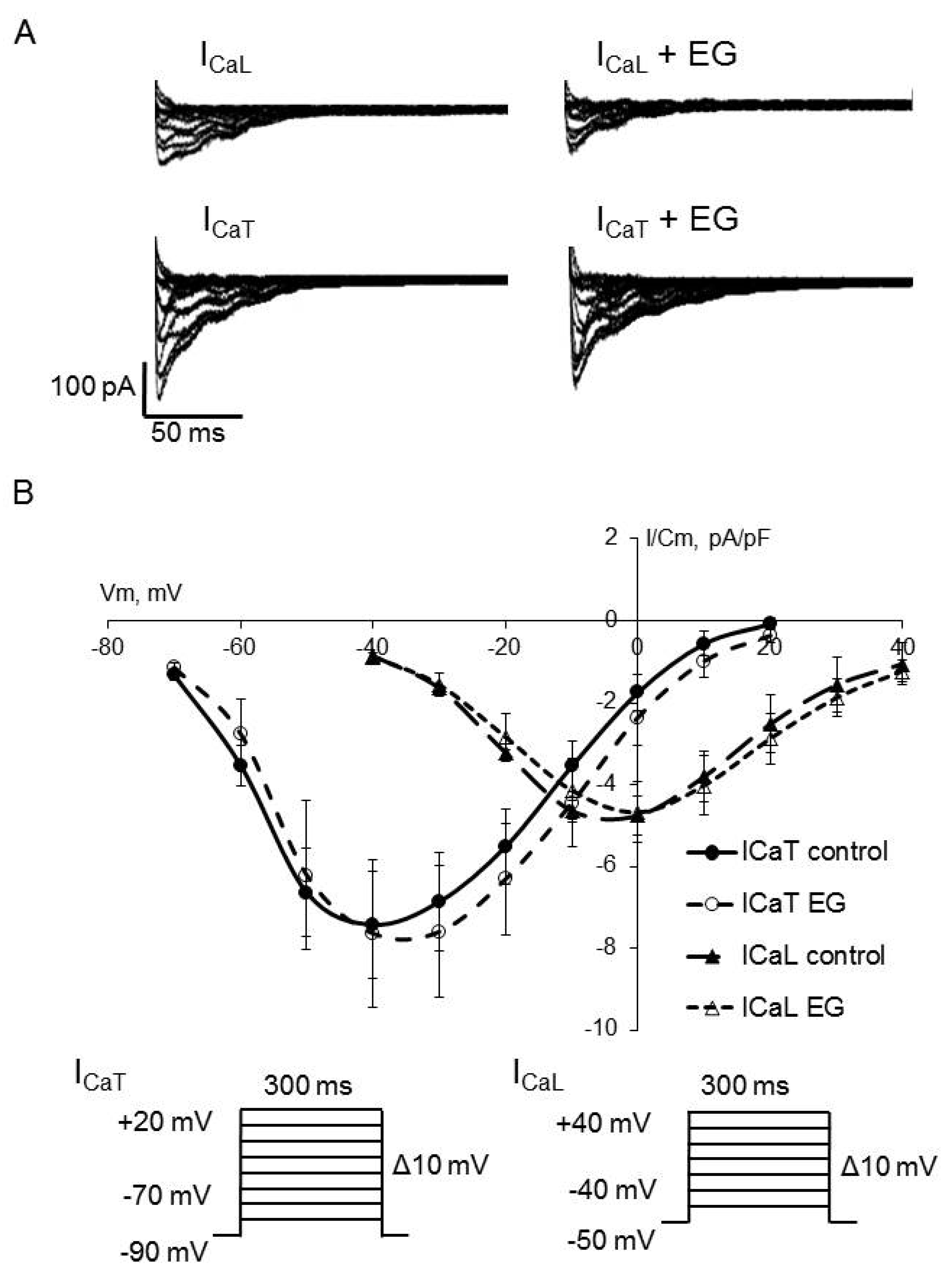 Ijms 23 09559 g004 Ijms 23 09559 g004