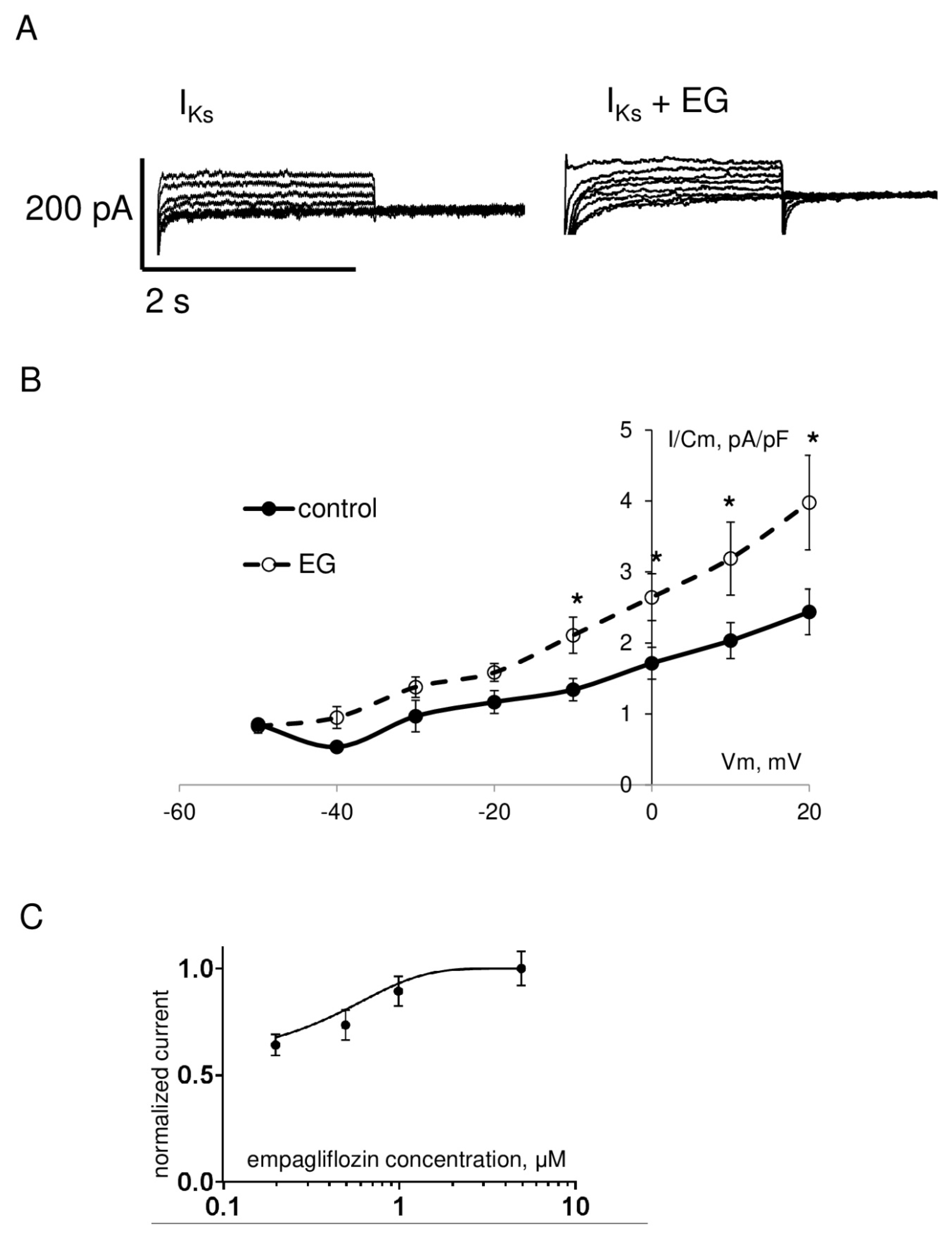 Ijms 23 09559 g006 Ijms 23 09559 g006