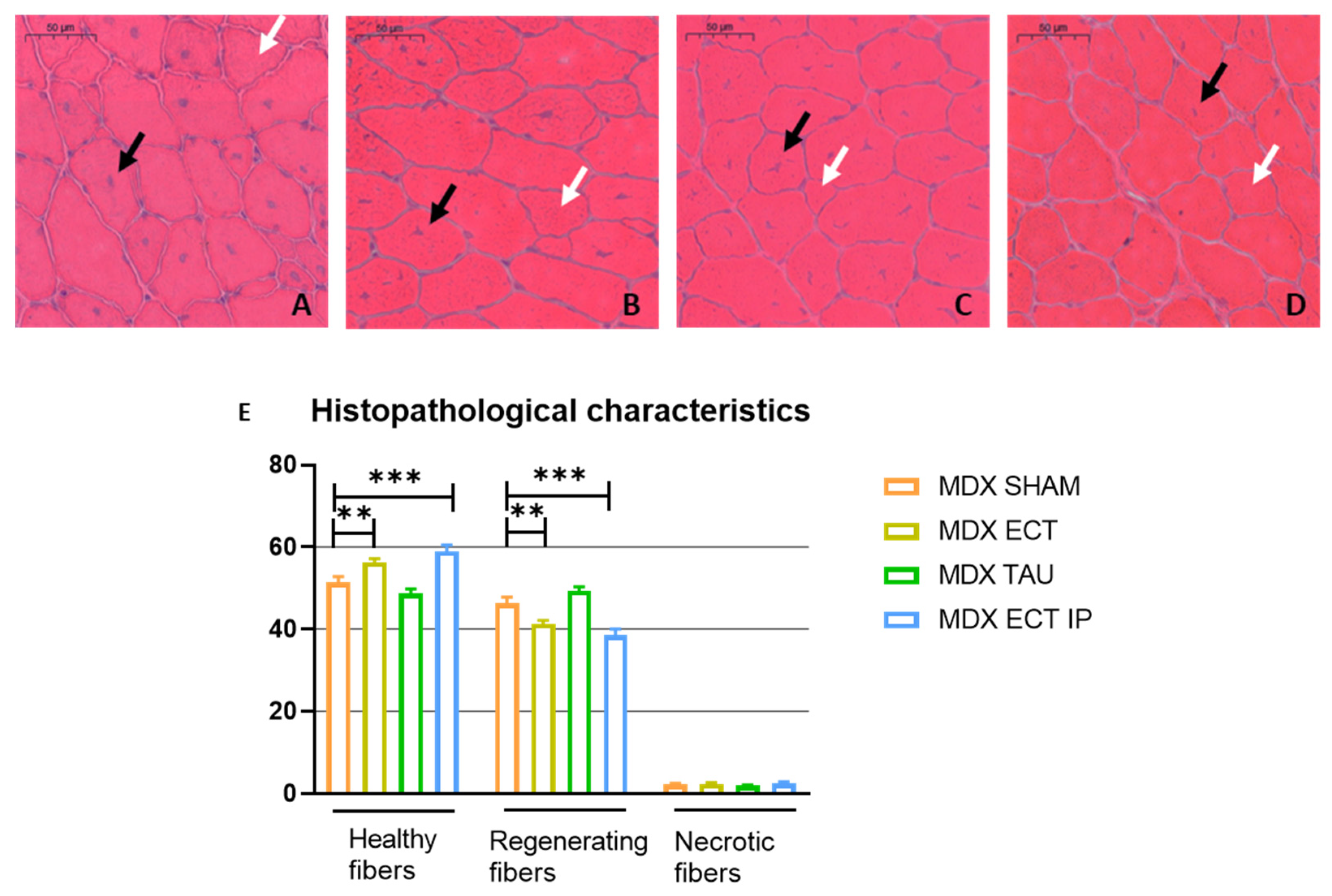 Ijms 23 09567 g004 550