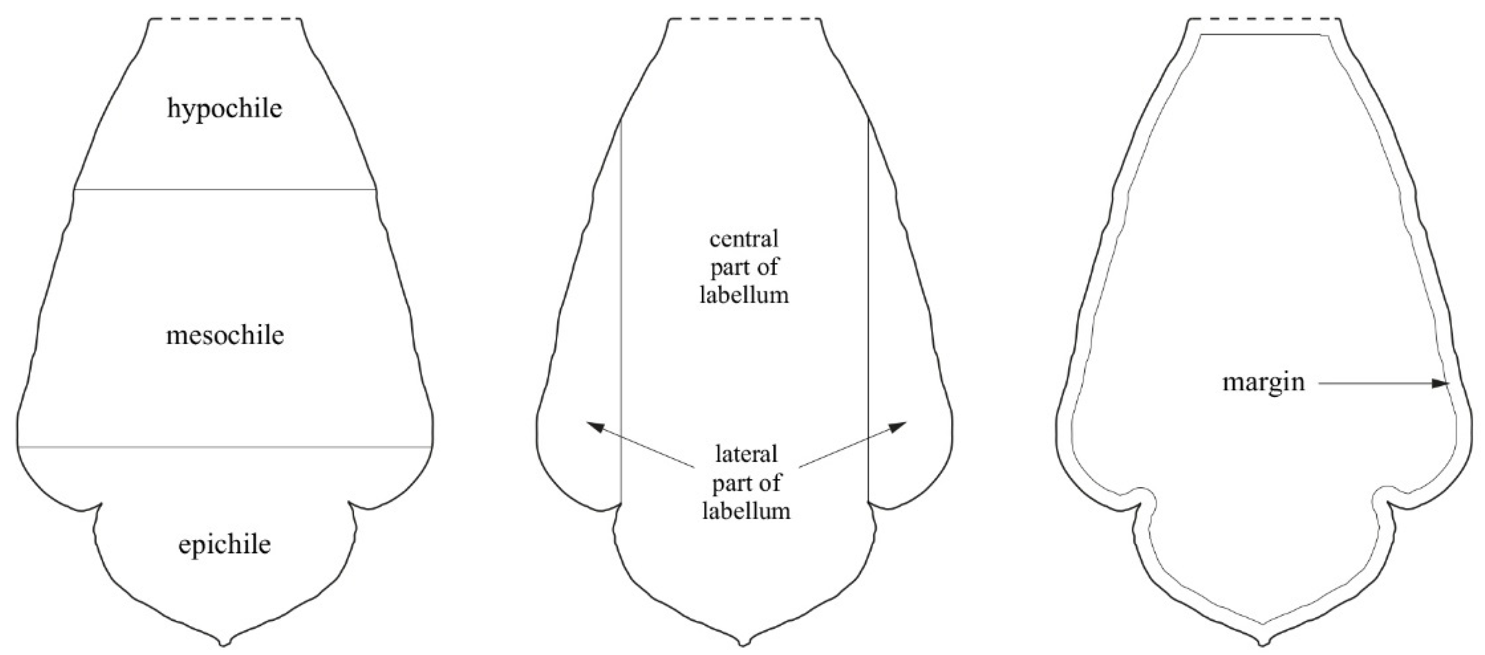 Ijms 23 09578 g001 Ijms 23 09578 g001