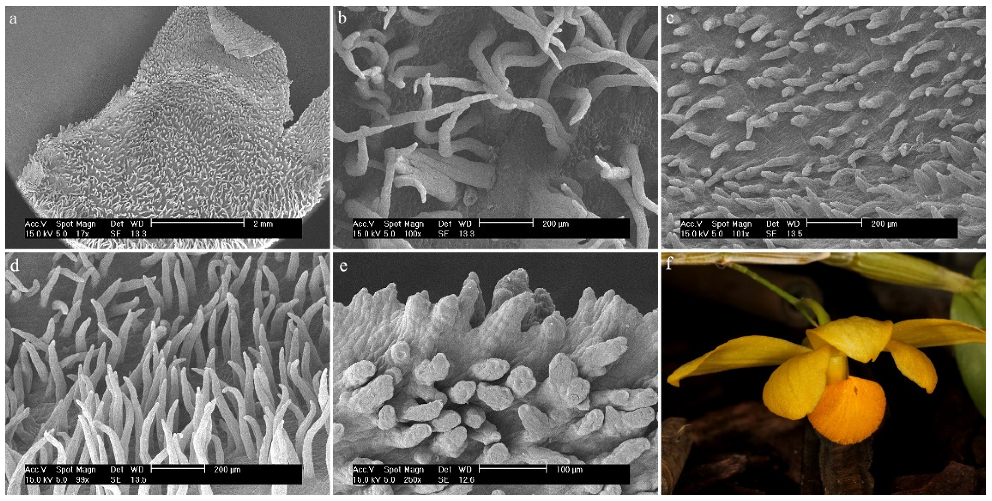 Ijms 23 09578 g008 Ijms 23 09578 g008